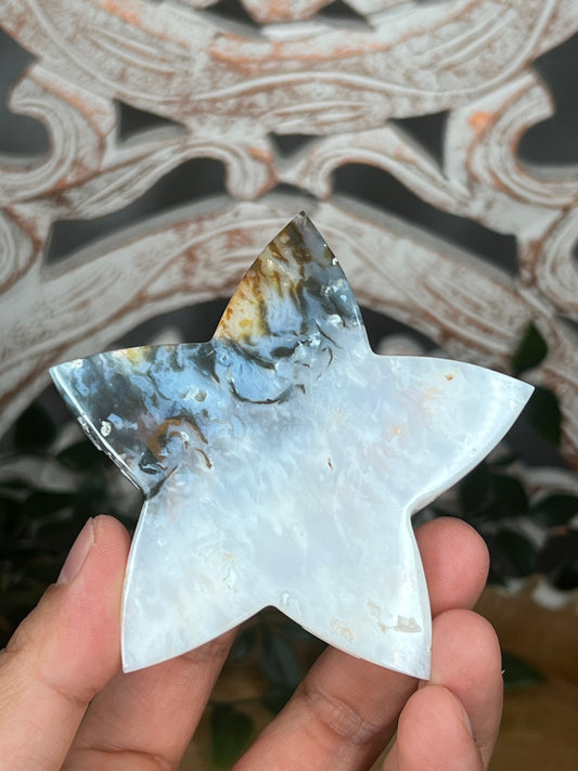 Rainbow Plume Agate Star