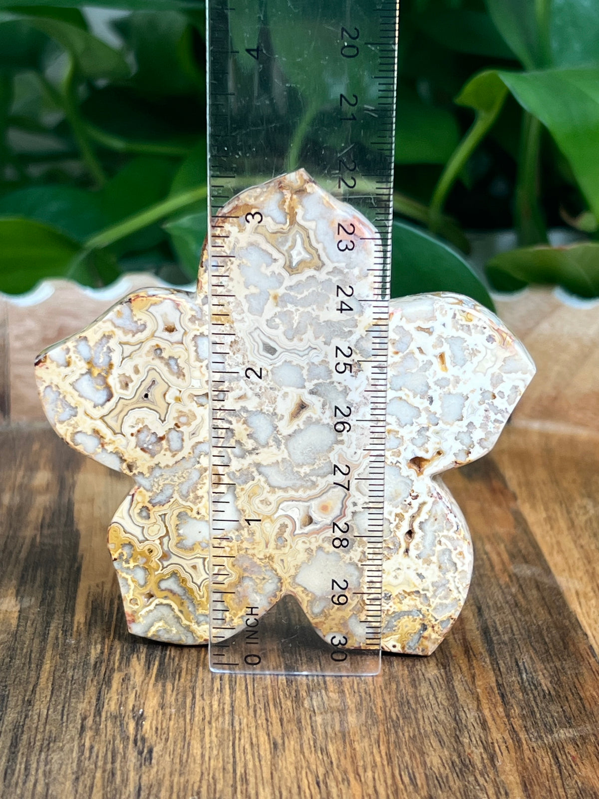 Crazy Lace Agate Flower: Ei