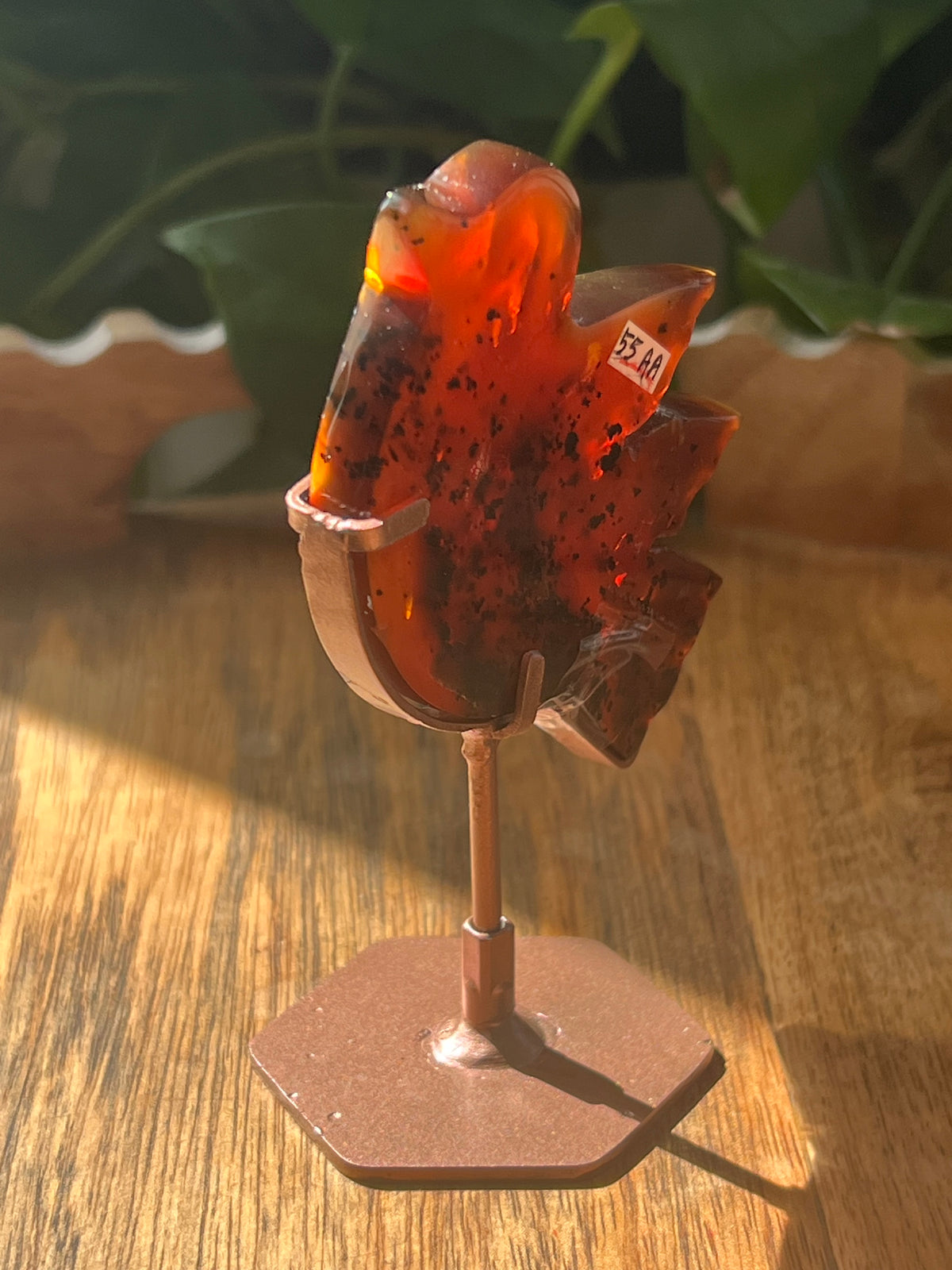 Blue Amber Bird: AA