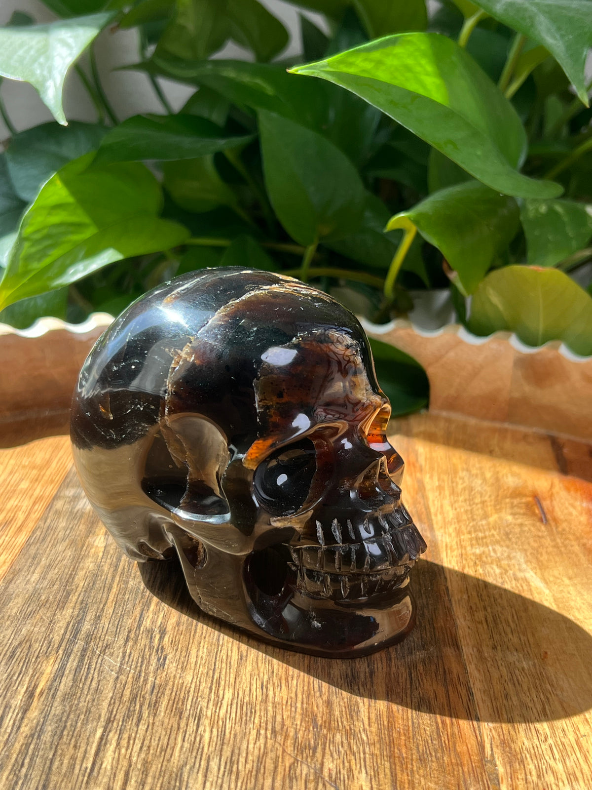 Blue Amber Skull: NB