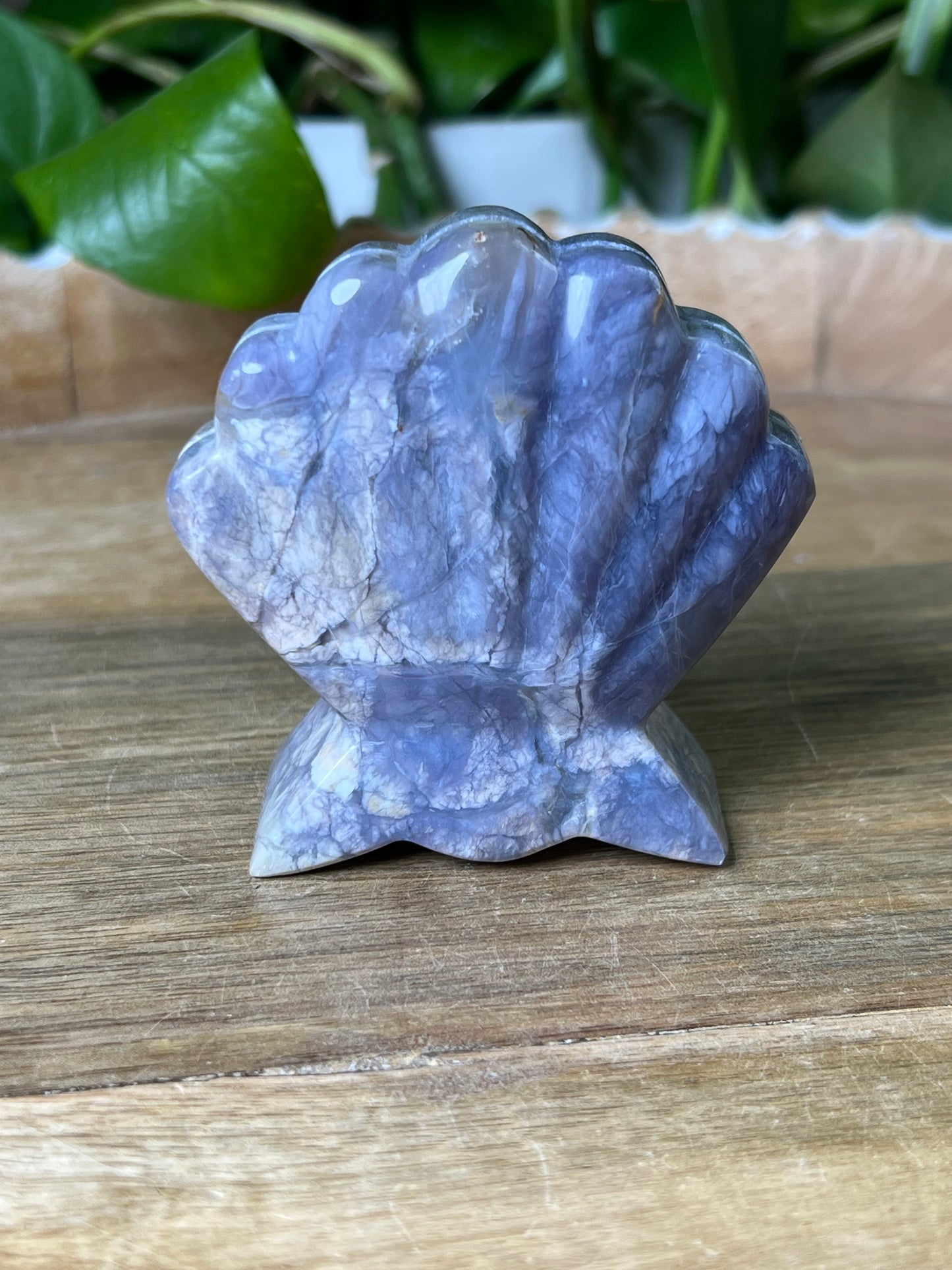 Purple Chalcedony Shell