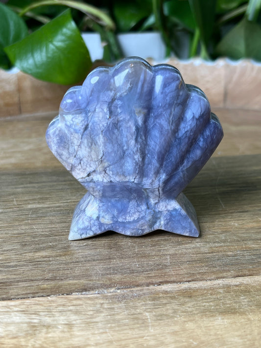 Purple Chalcedony Shell