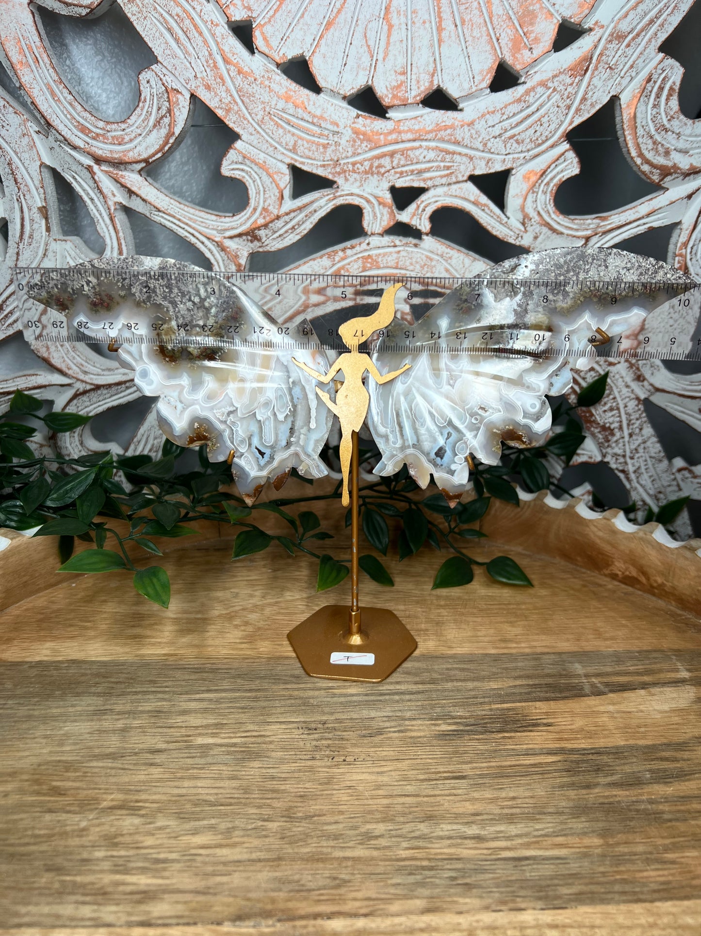 Scenic Moss Agate Wings