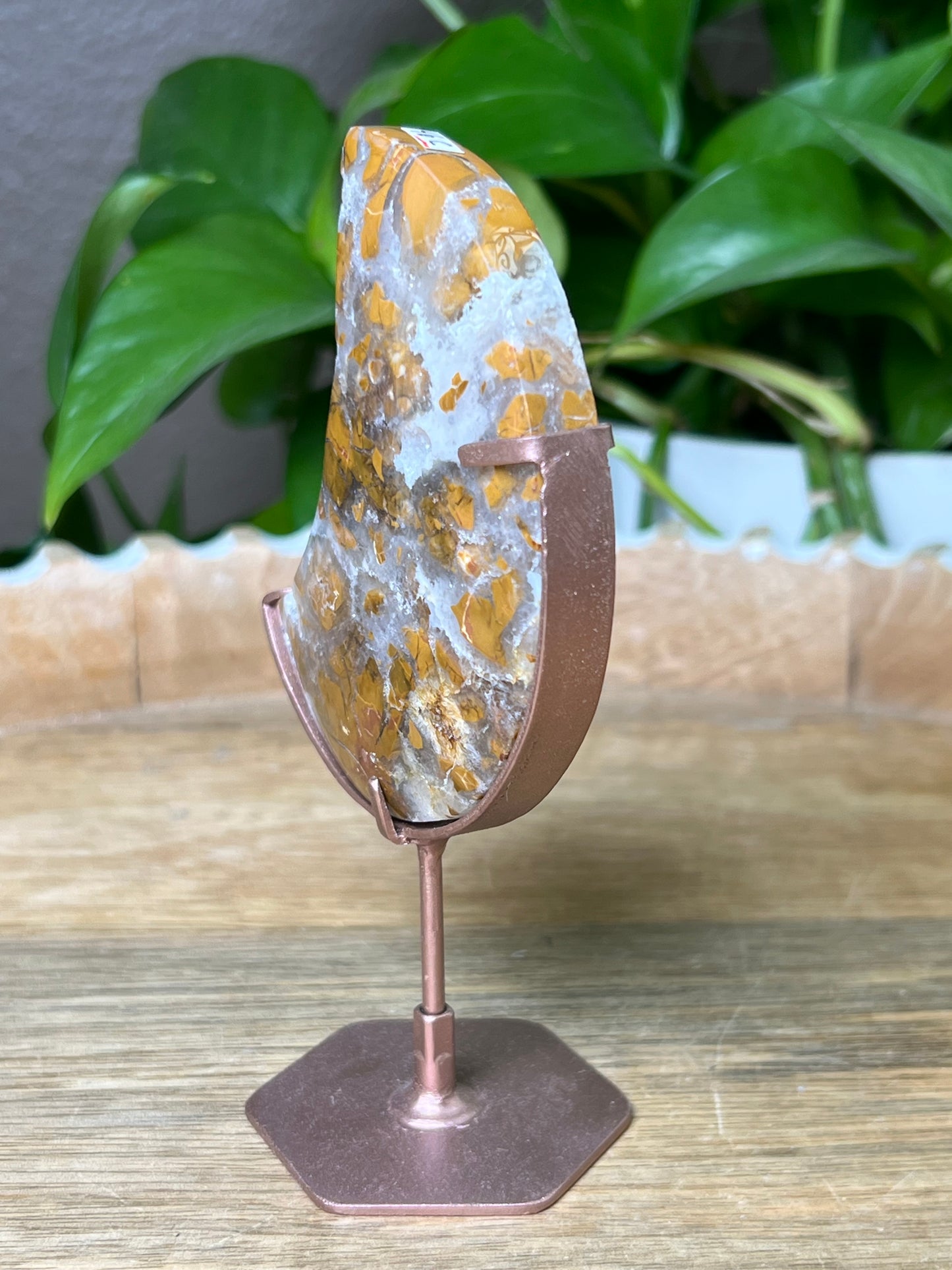 Brecciated Jasper Moon