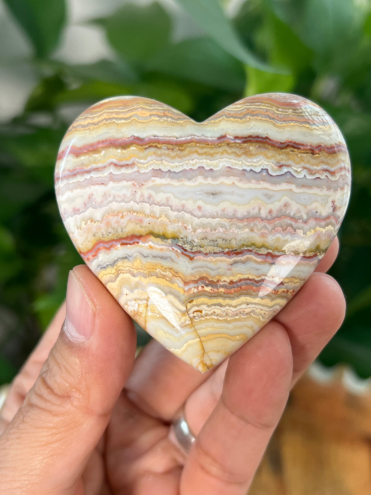 Crazy Lace Agate Small Puffy Moons