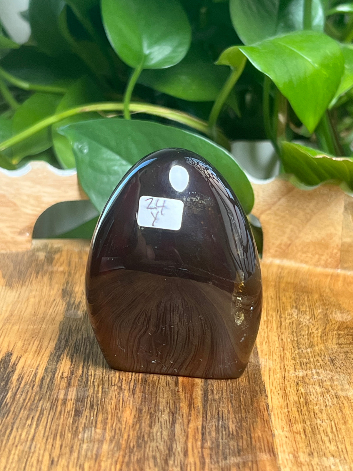 Blue Amber Freeform: Y