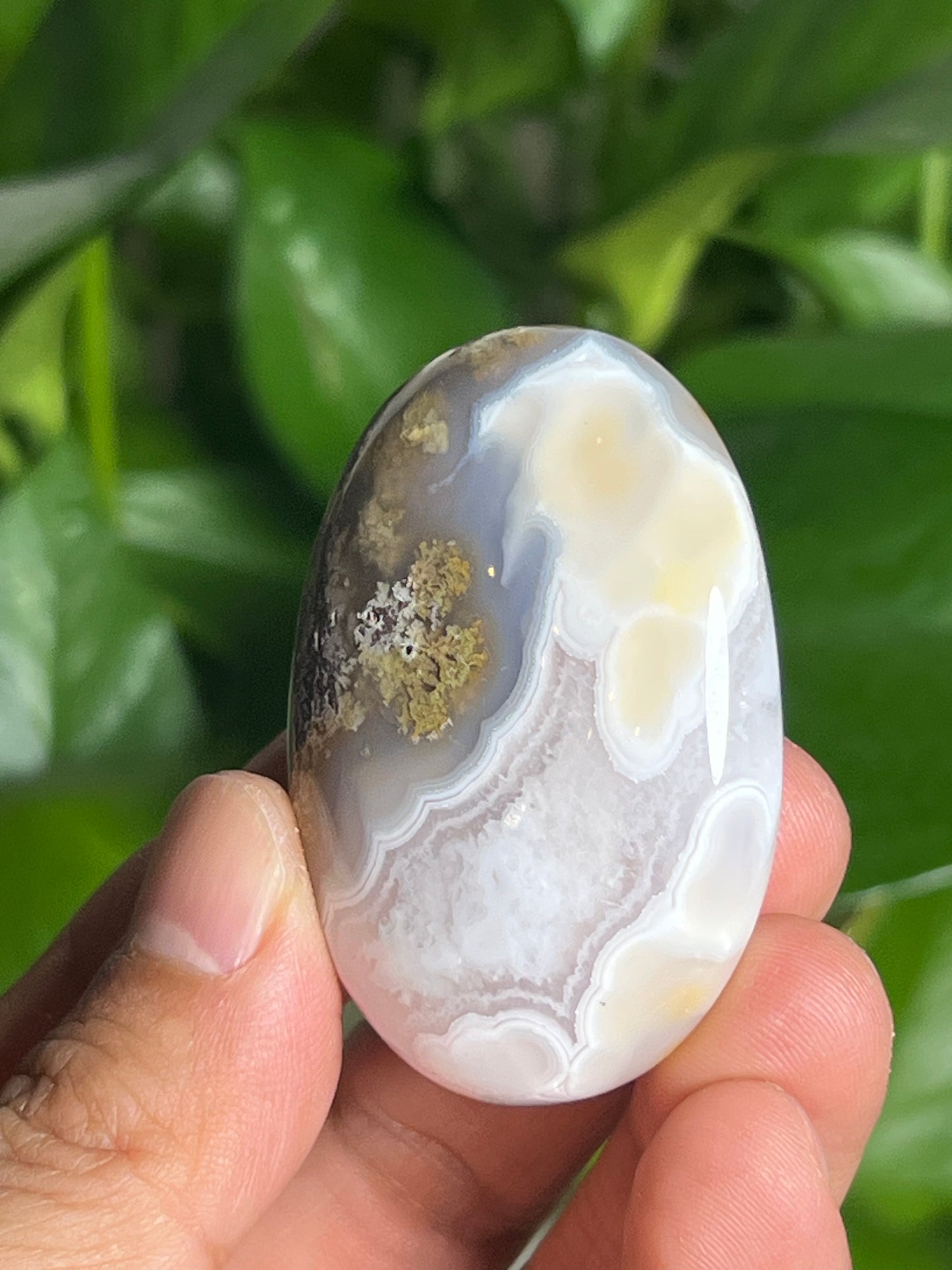 Scenic Moss Agate Palmstone: BH