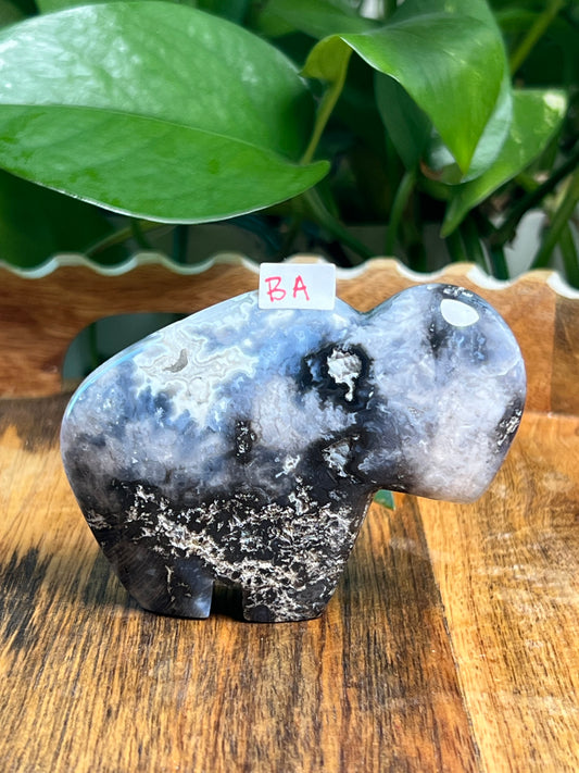 Blue Plume Agate Buffalos