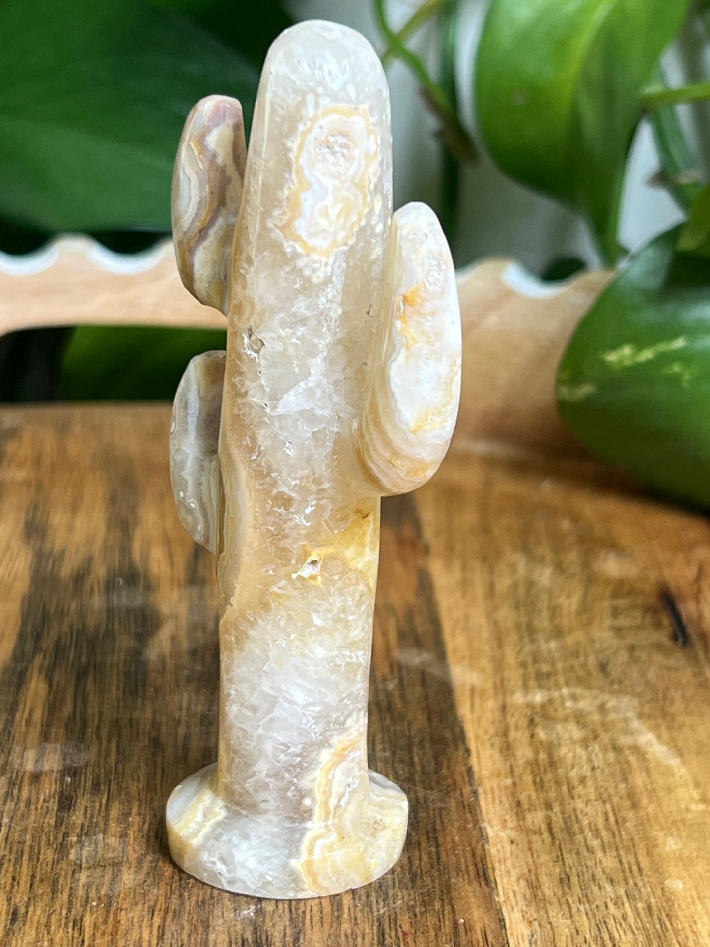 Yellow Crazy Lace Agate Cactus