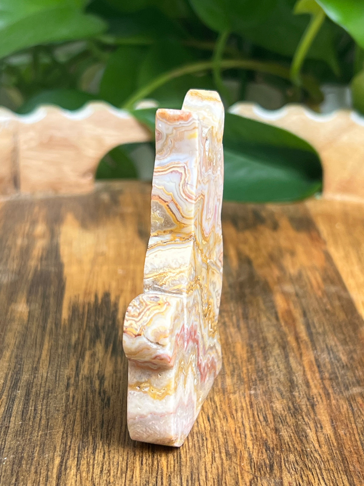 Crazy Lace Agate Cat: QE