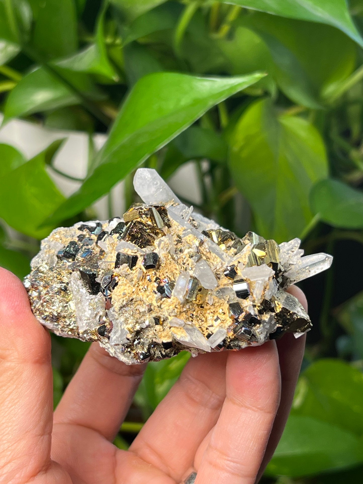 Rainbow Pyrite Quartz