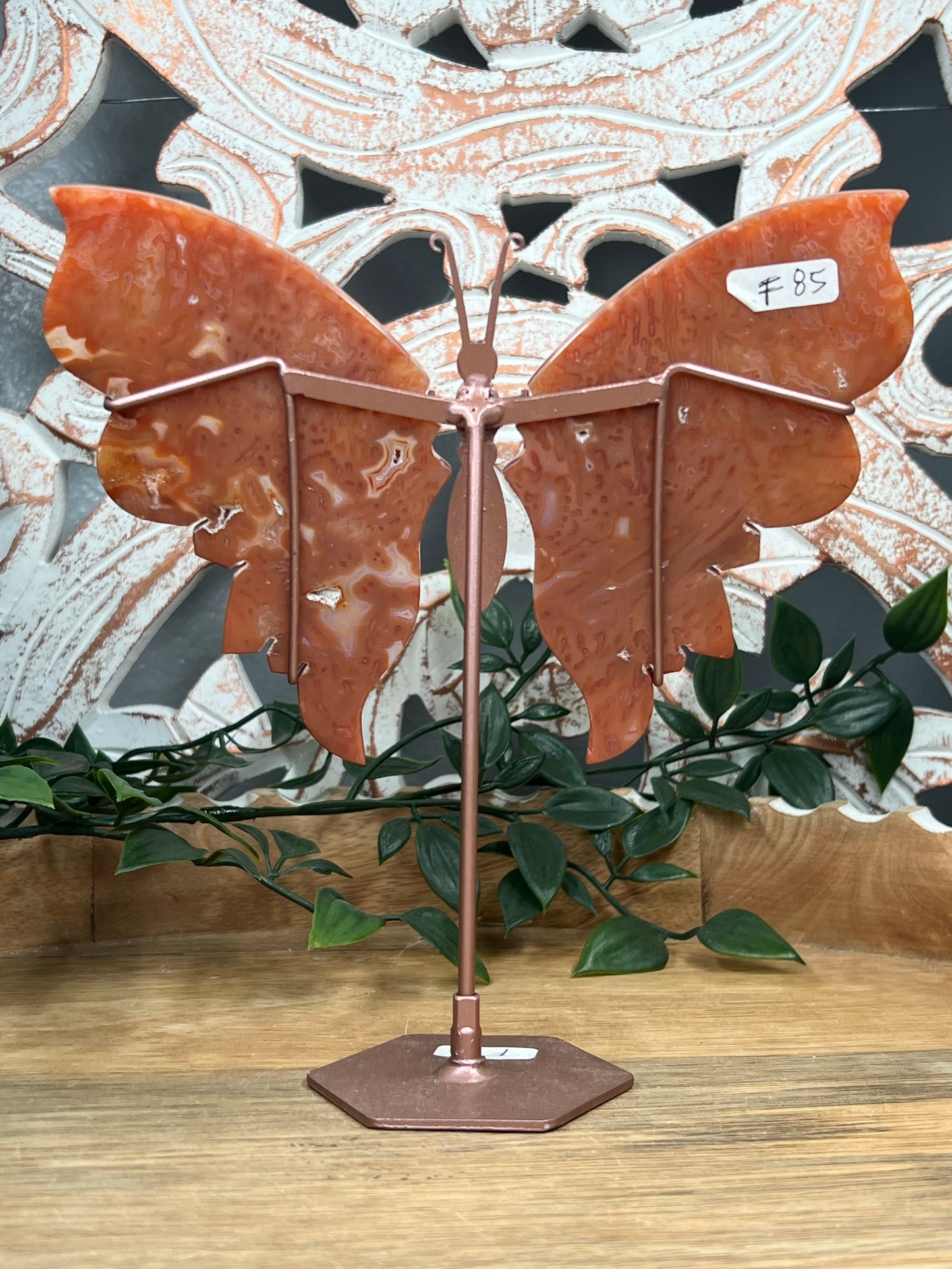 Carnelian Wings