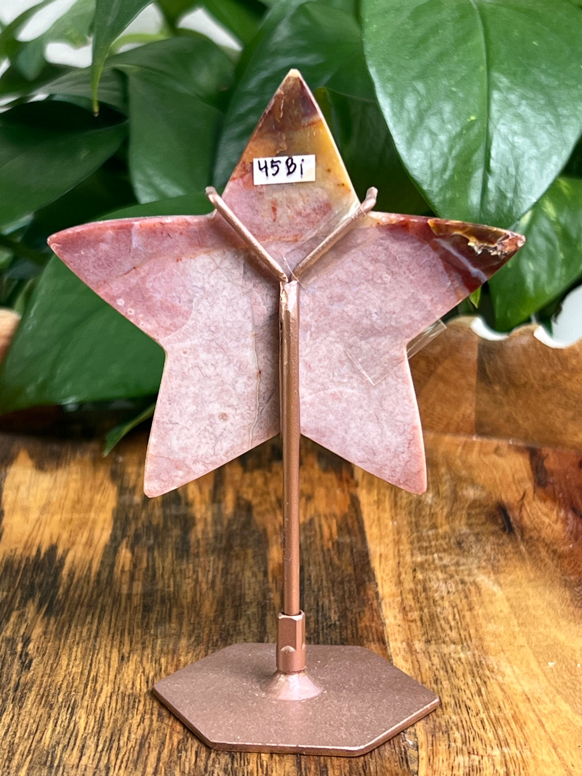 River Jasper Star: Bi