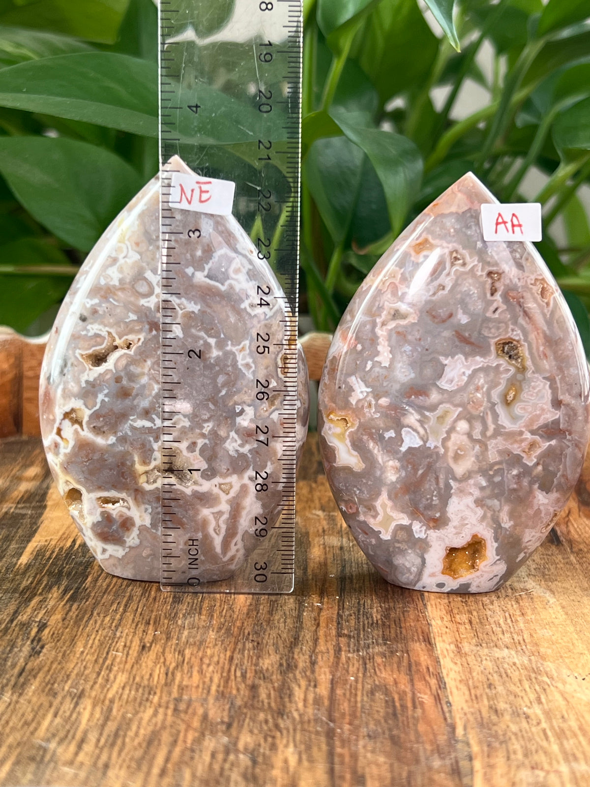 Sumatra Plume Agate Flames