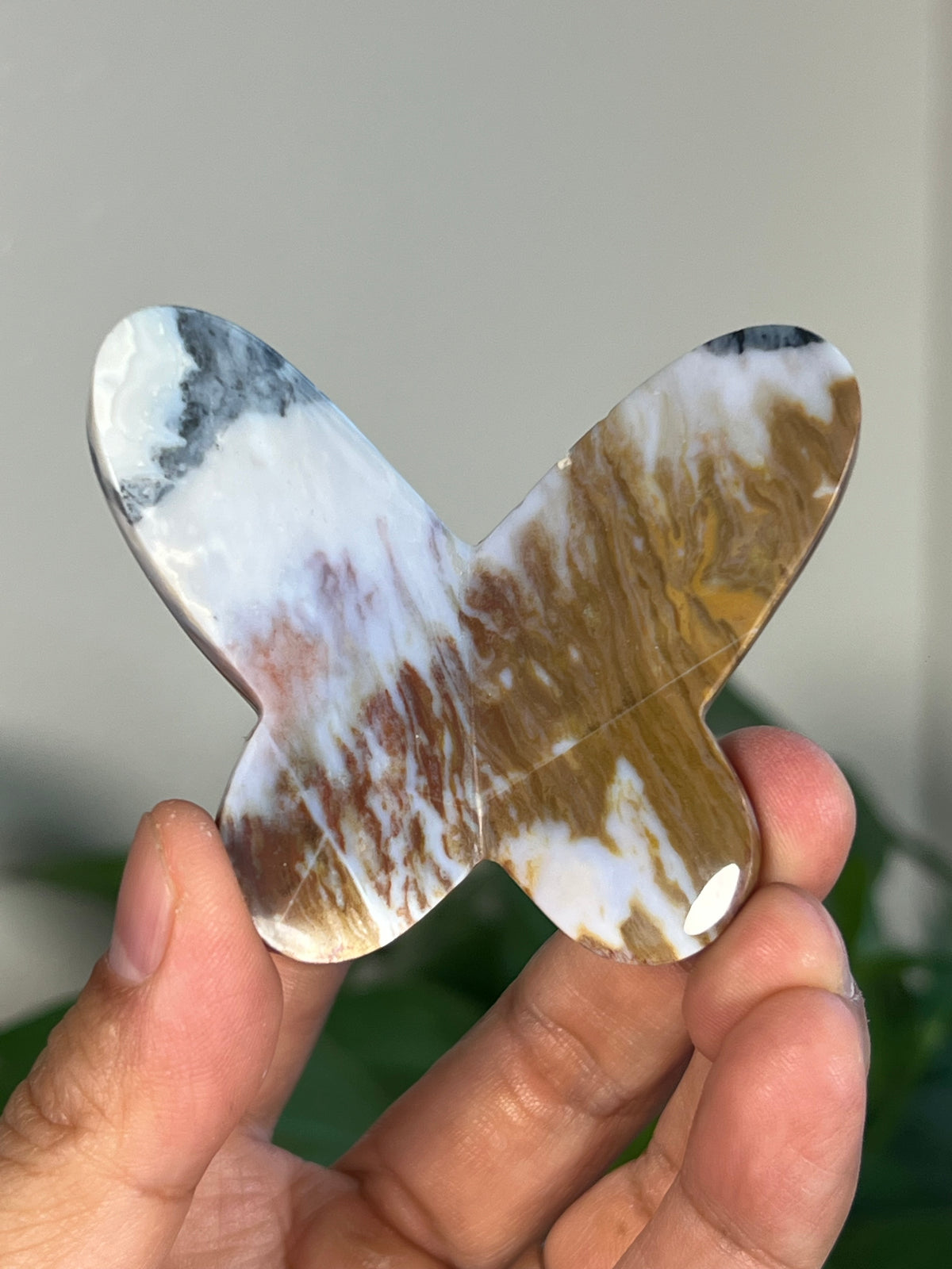 Milky River Jasper 3D Butterflies