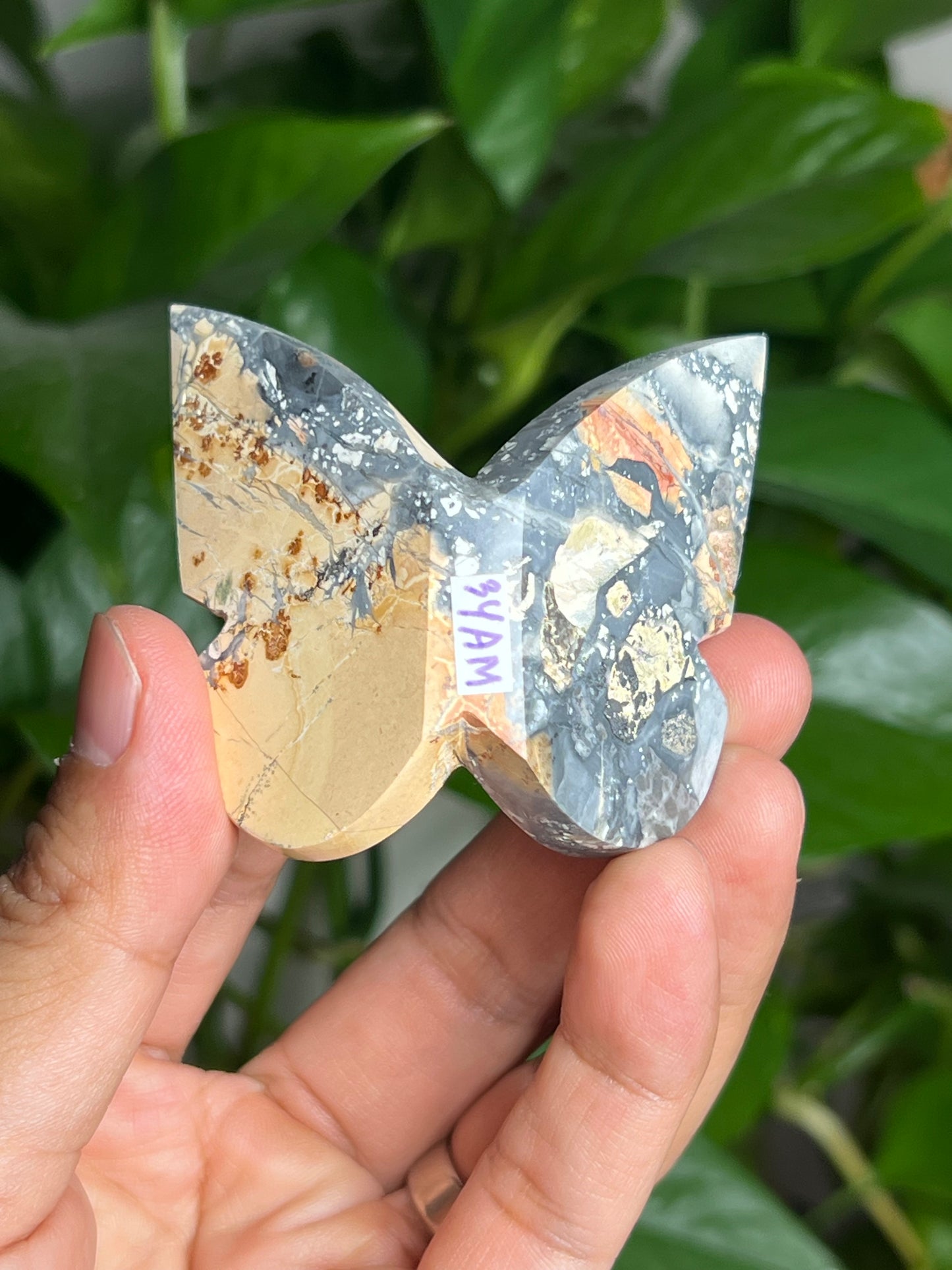 Maligano 3D Butterfly: AM