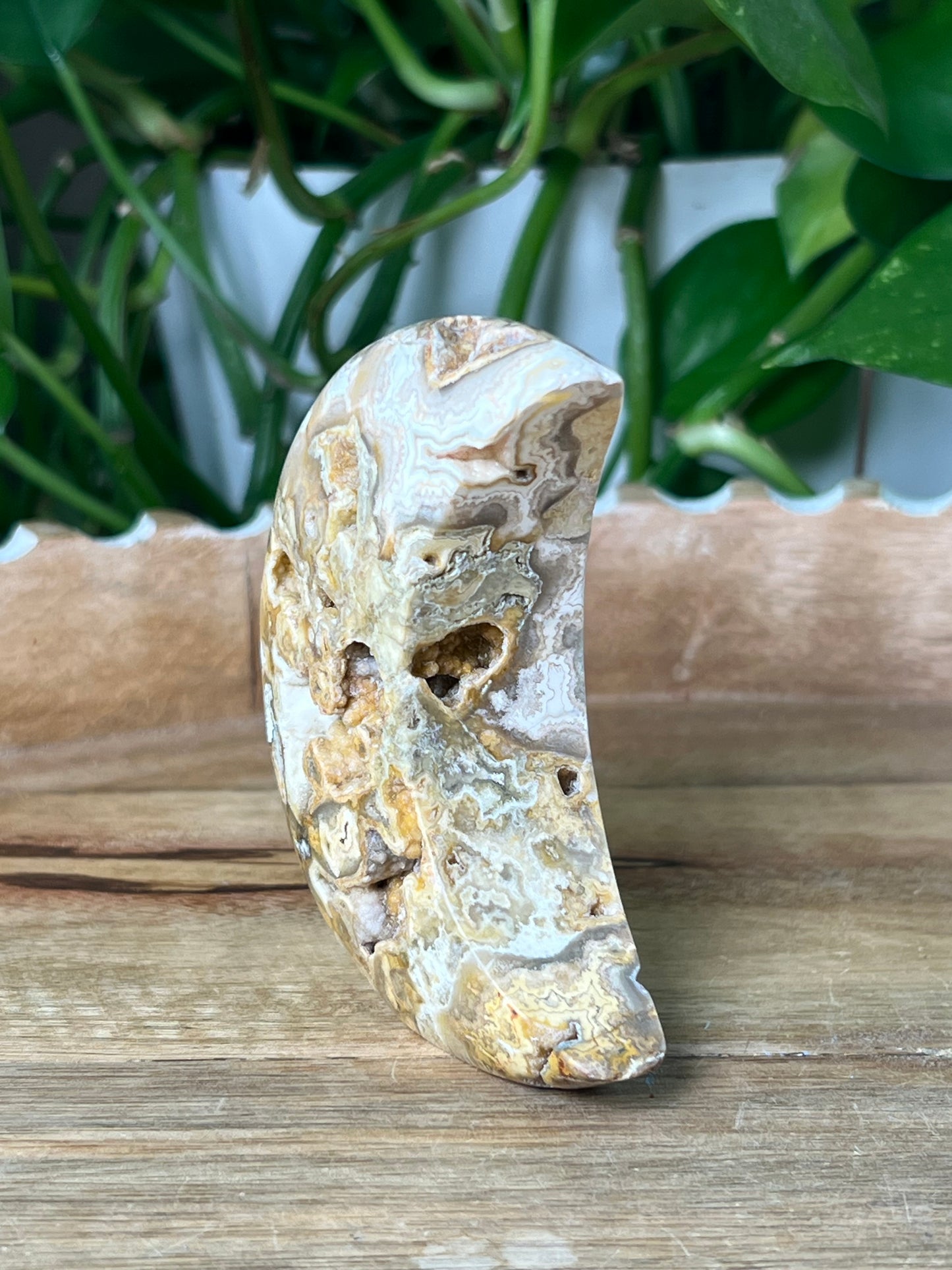 Crazy Lace Agate Moon
