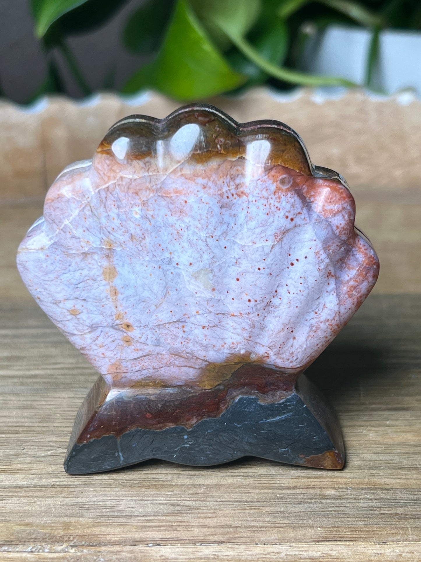 River Jasper Shell