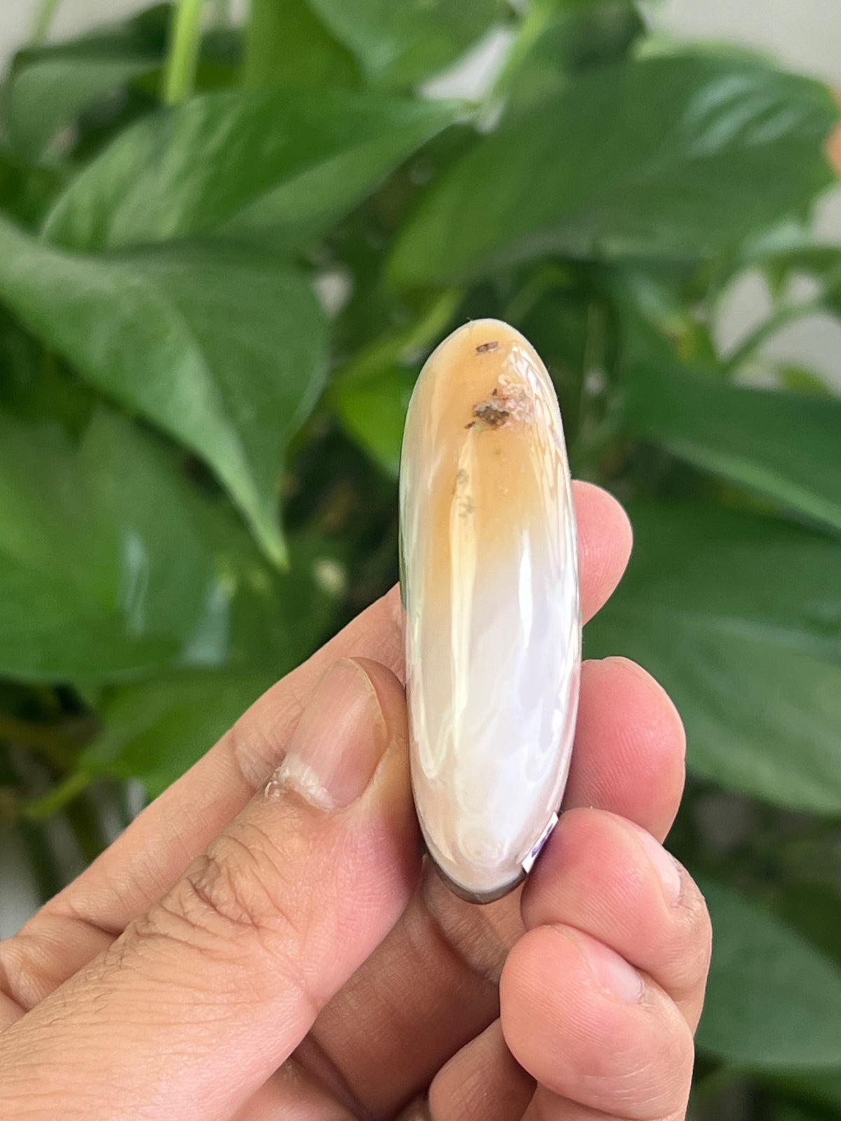 Scenic Moss Agate Palmstone: PD