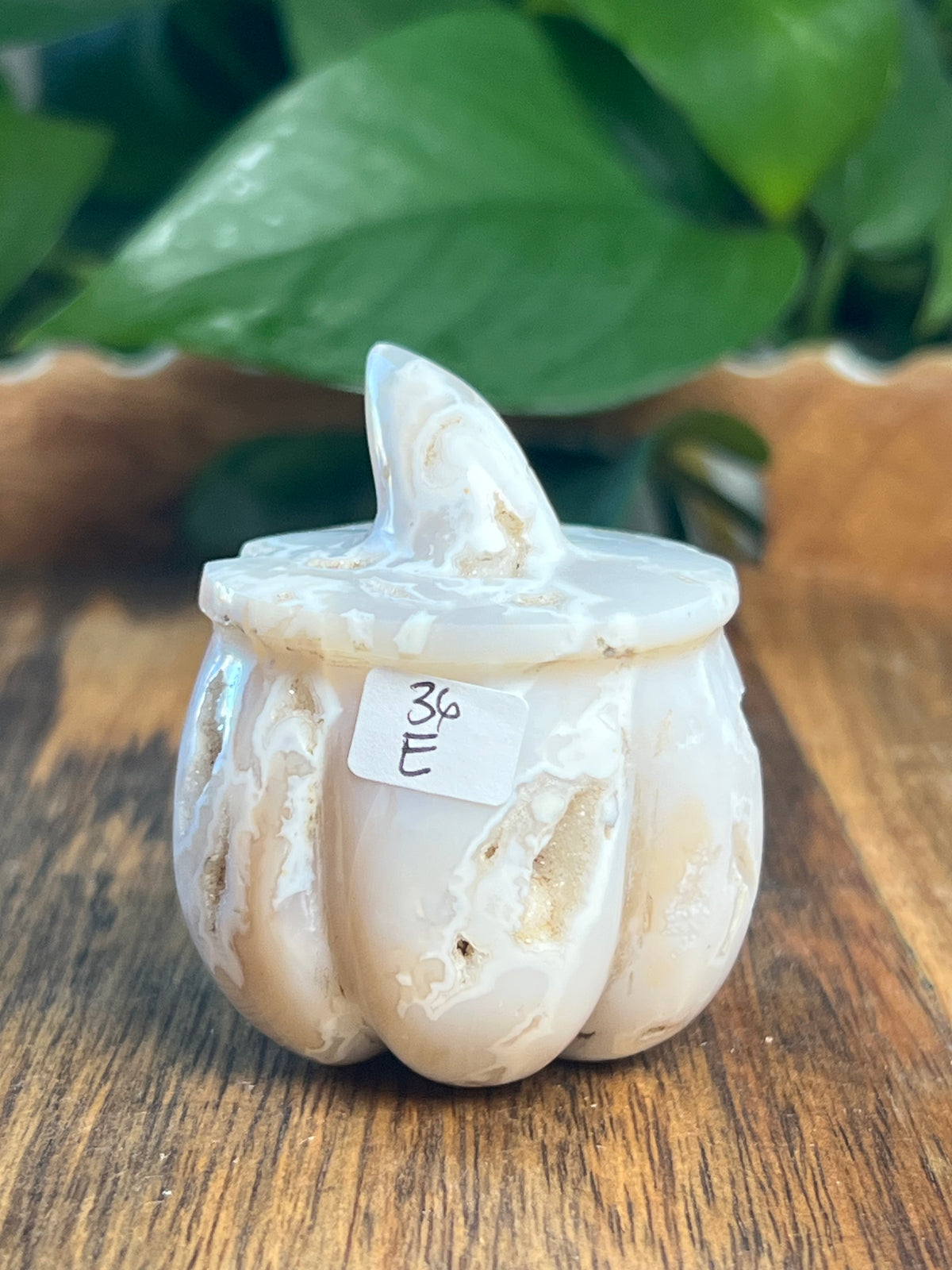 White Plume Agate Pumpkin: E