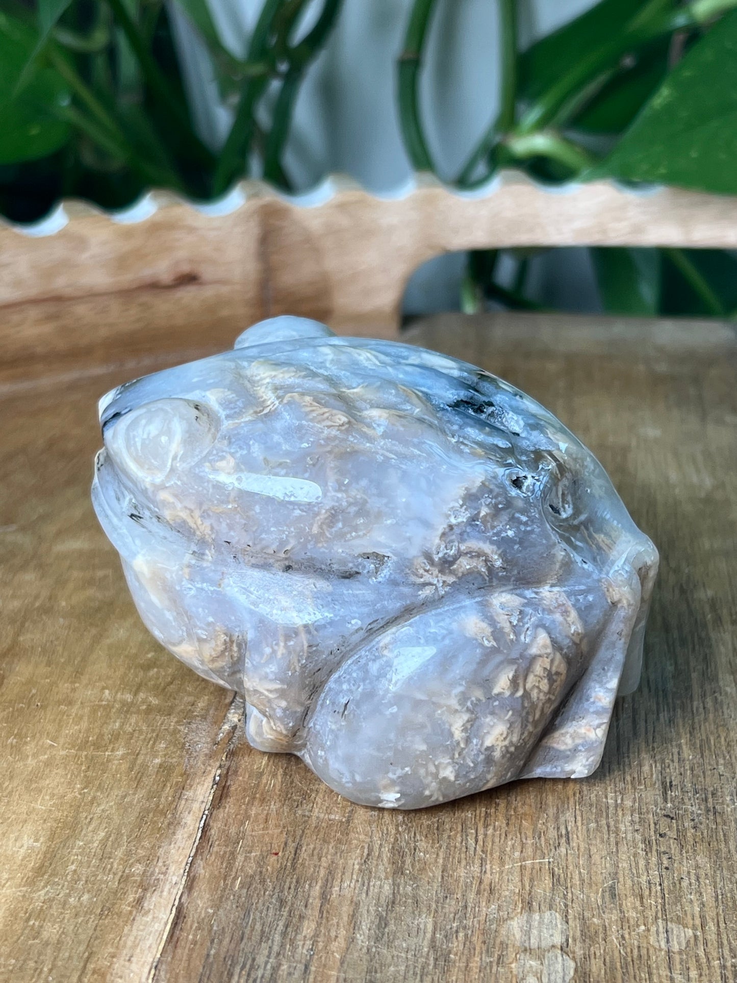 Dendritic Tiger Agate Frog