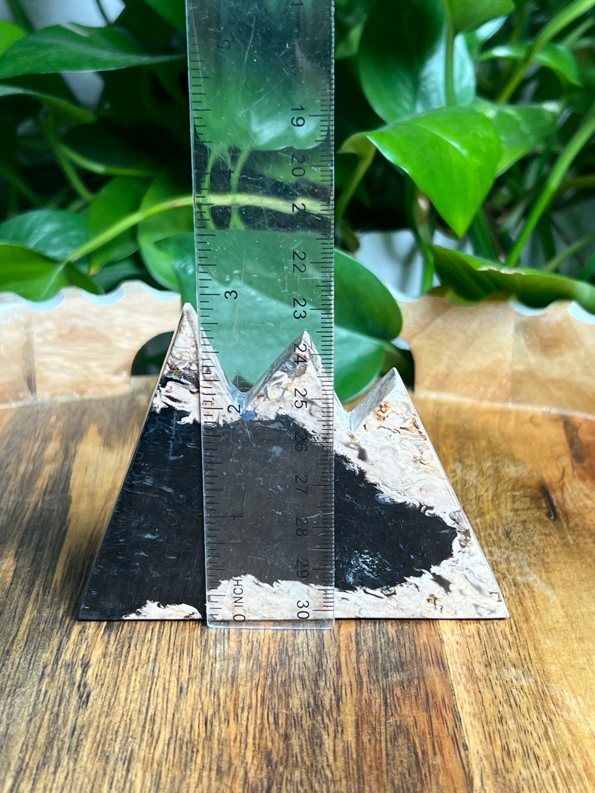 Palm Root Mountain: BH