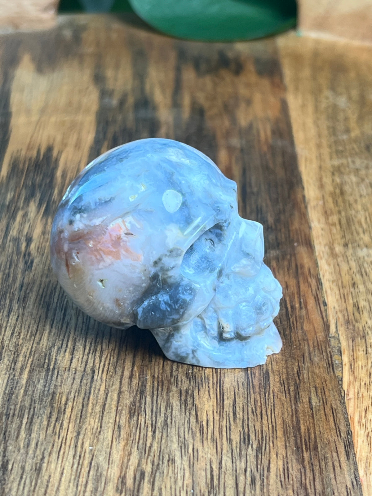 Rainbow Plume Agate Mini Skull: DB
