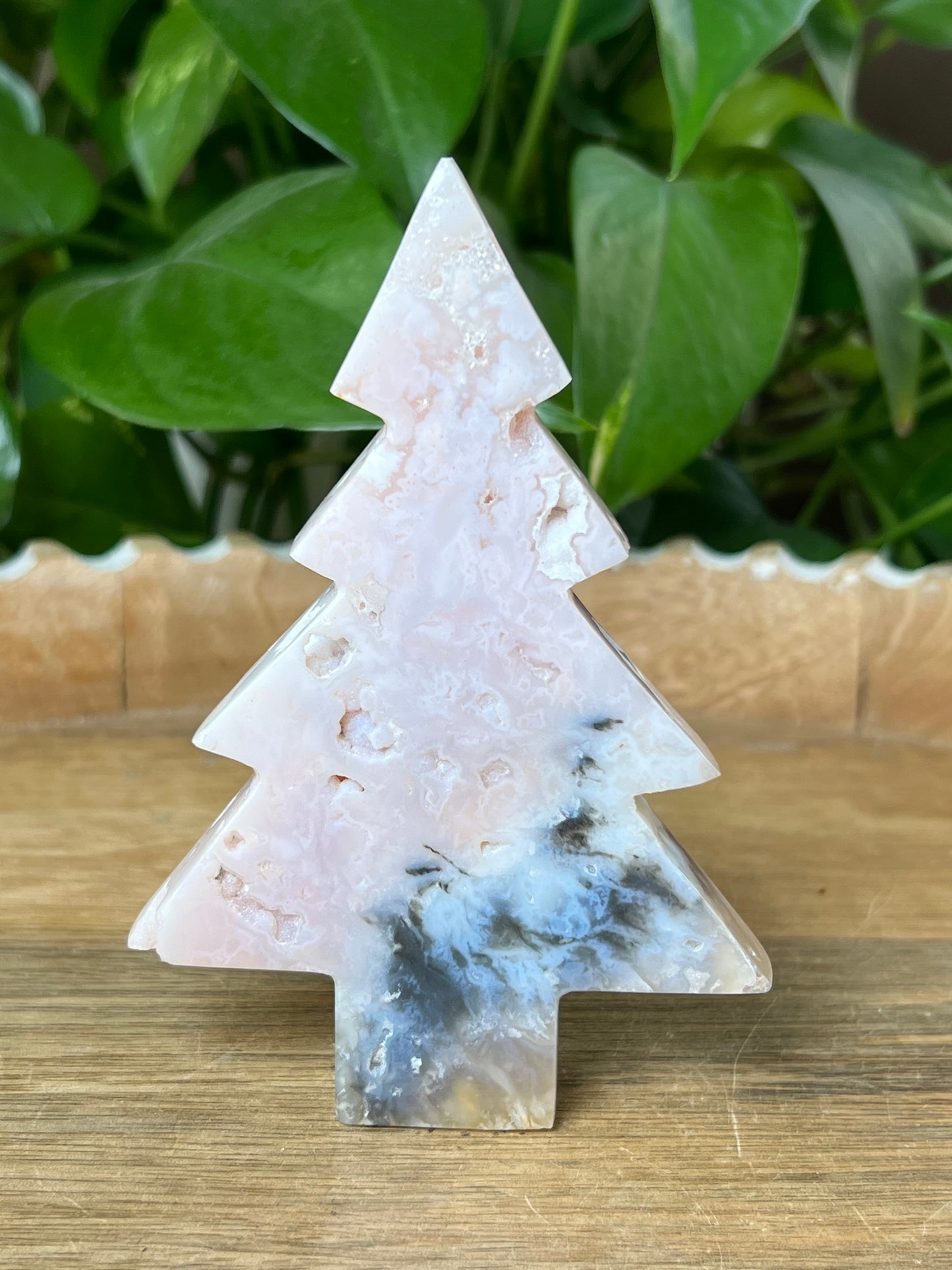 Rainbow Plume Agate Tree