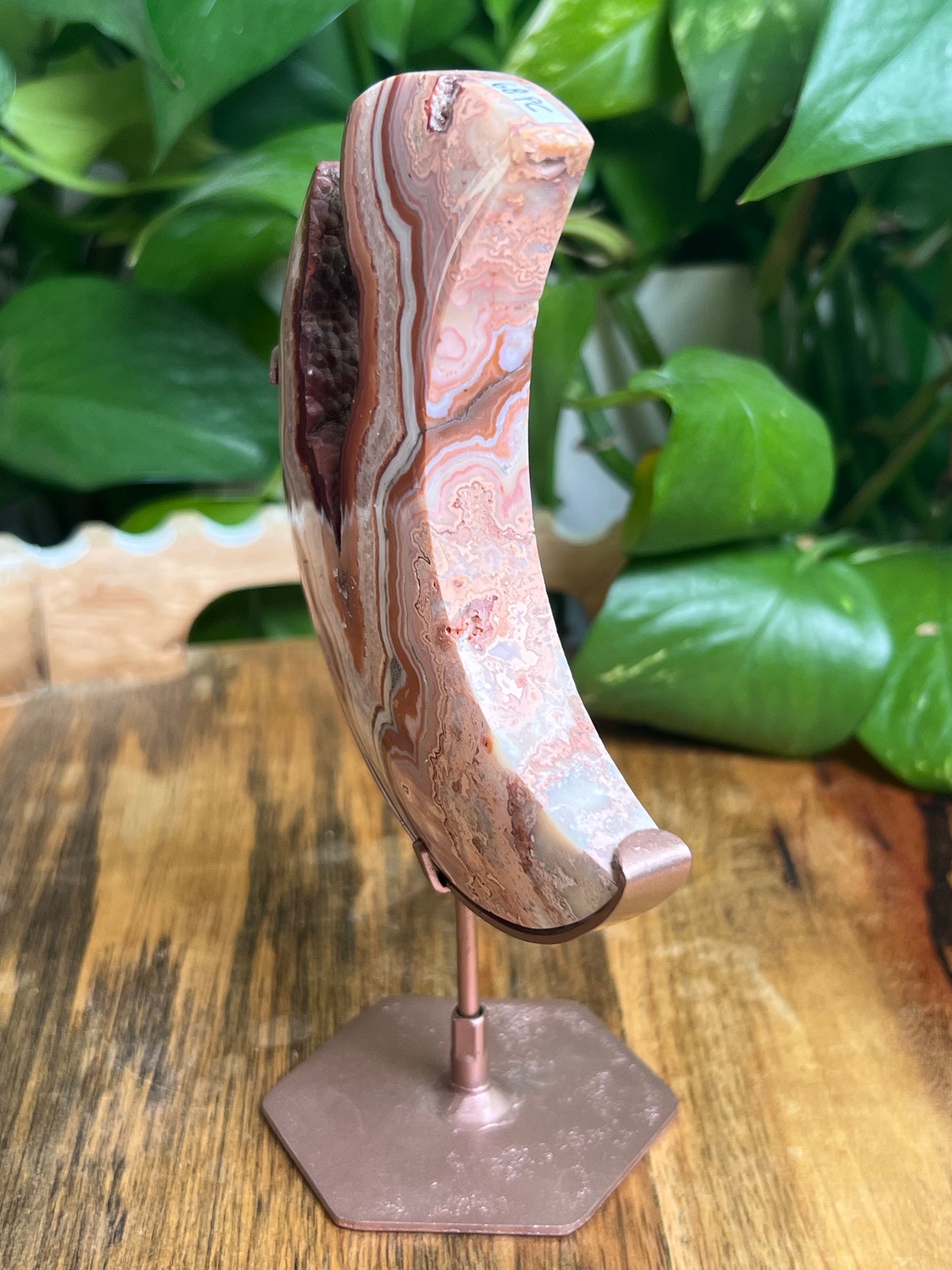 Pink Crazy Lace Agate Moon