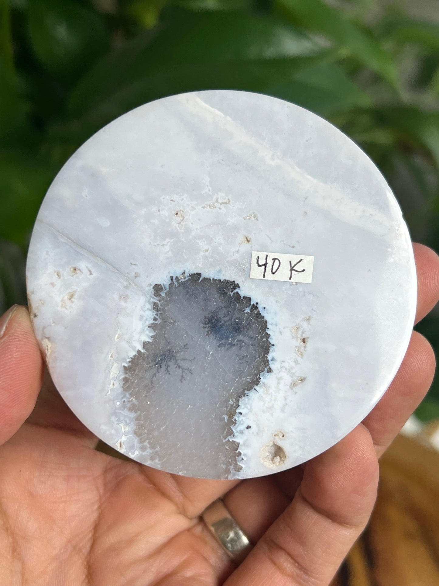 Scenic Moss Agate Coaster: K
