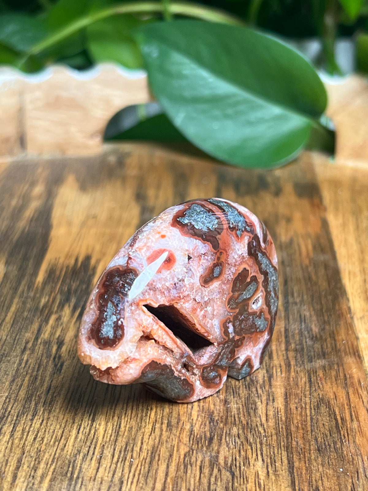 Marcasite Mini Bear:RX