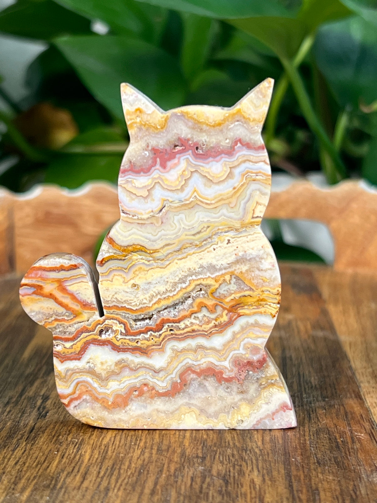 Crazy Lace Agate Small Cats