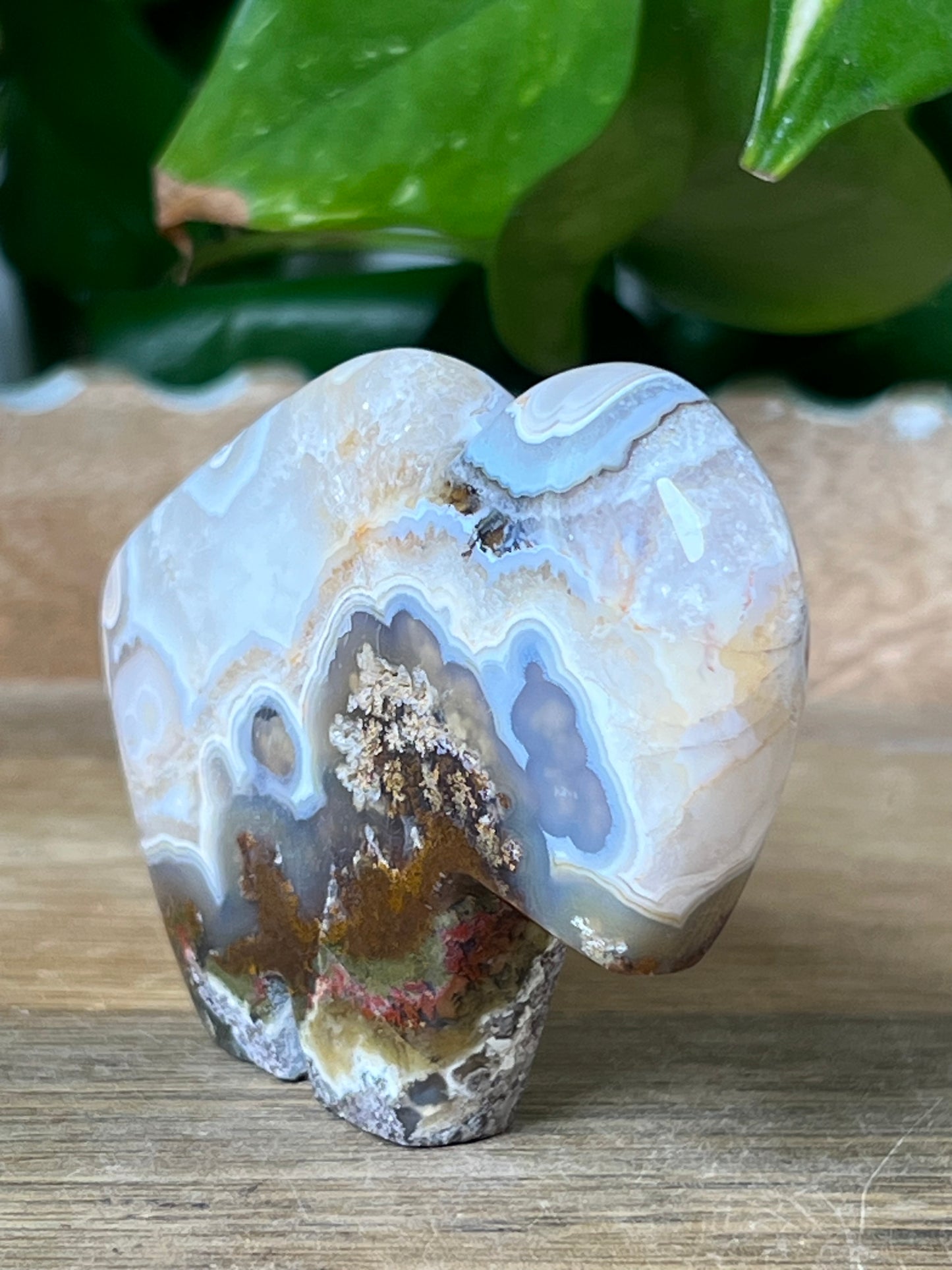 Scenic Moss Agate Buffalo