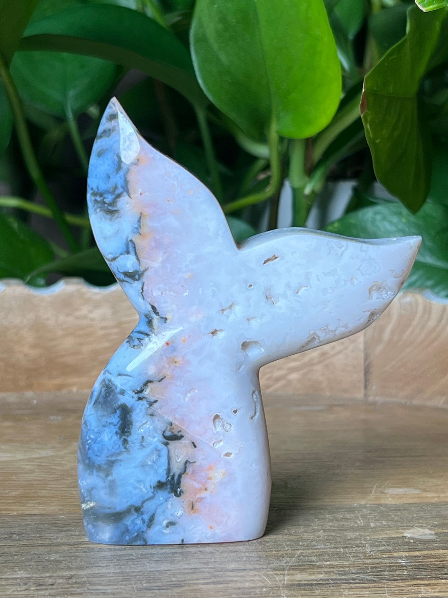 Rainbow Plume Agate Tail: RG