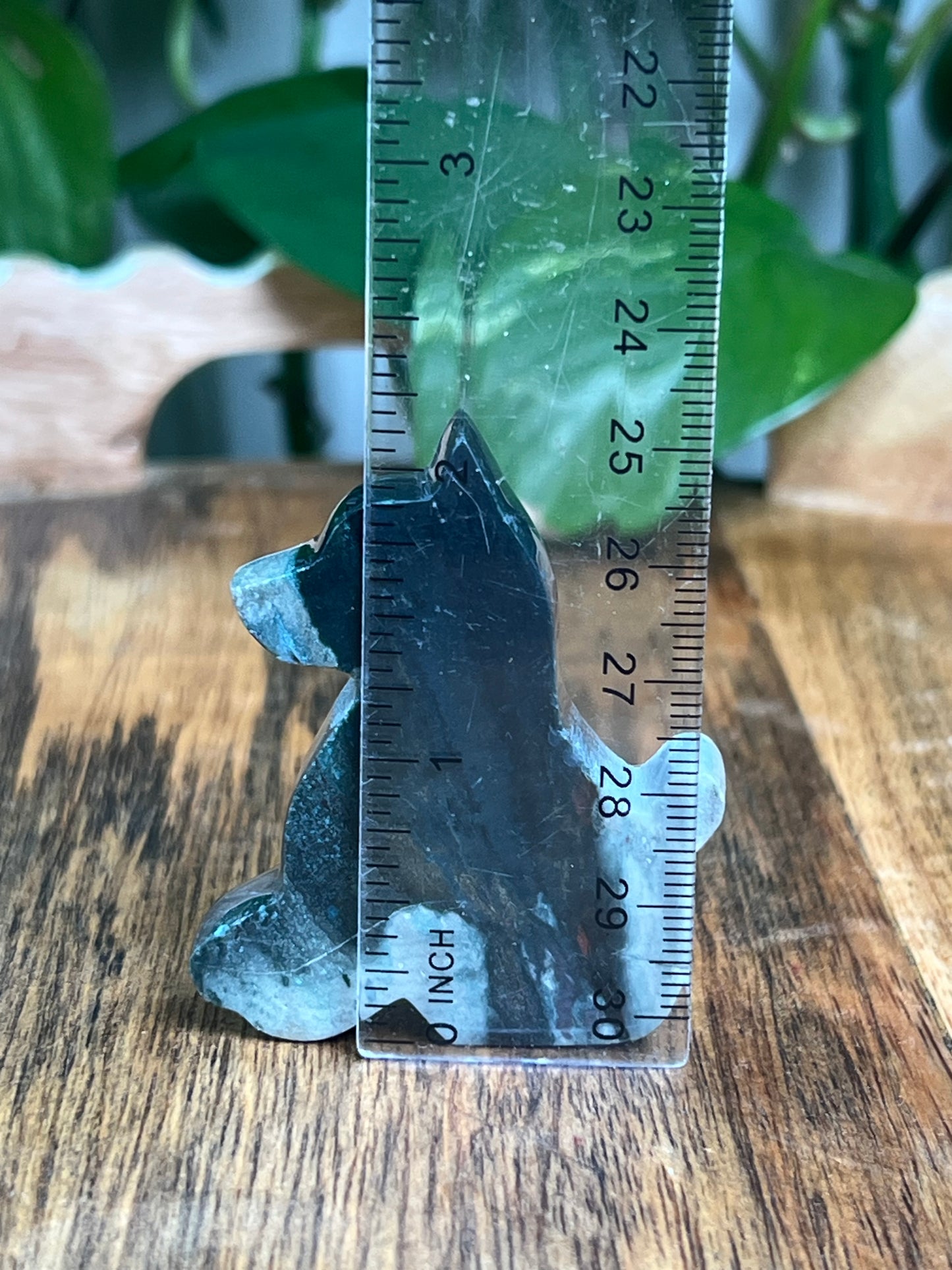 Blue Green Jasper Dog: AA