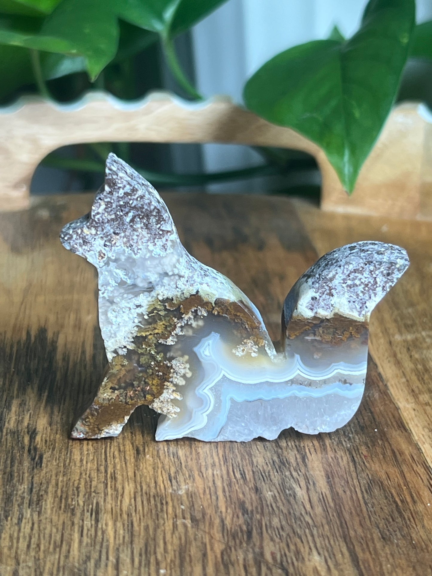 Scenic Moss Agate Fox PV