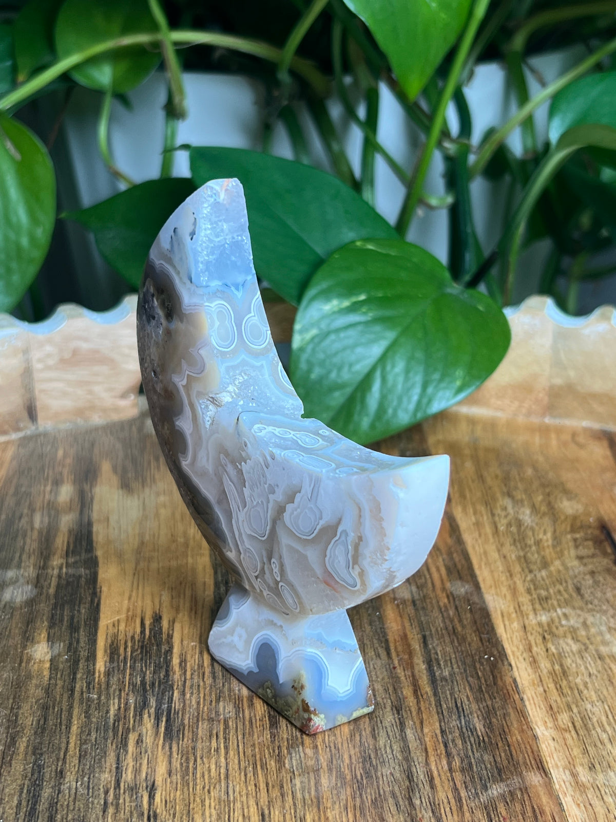 Scenic Moss Agate Self-Standing Moon: PR