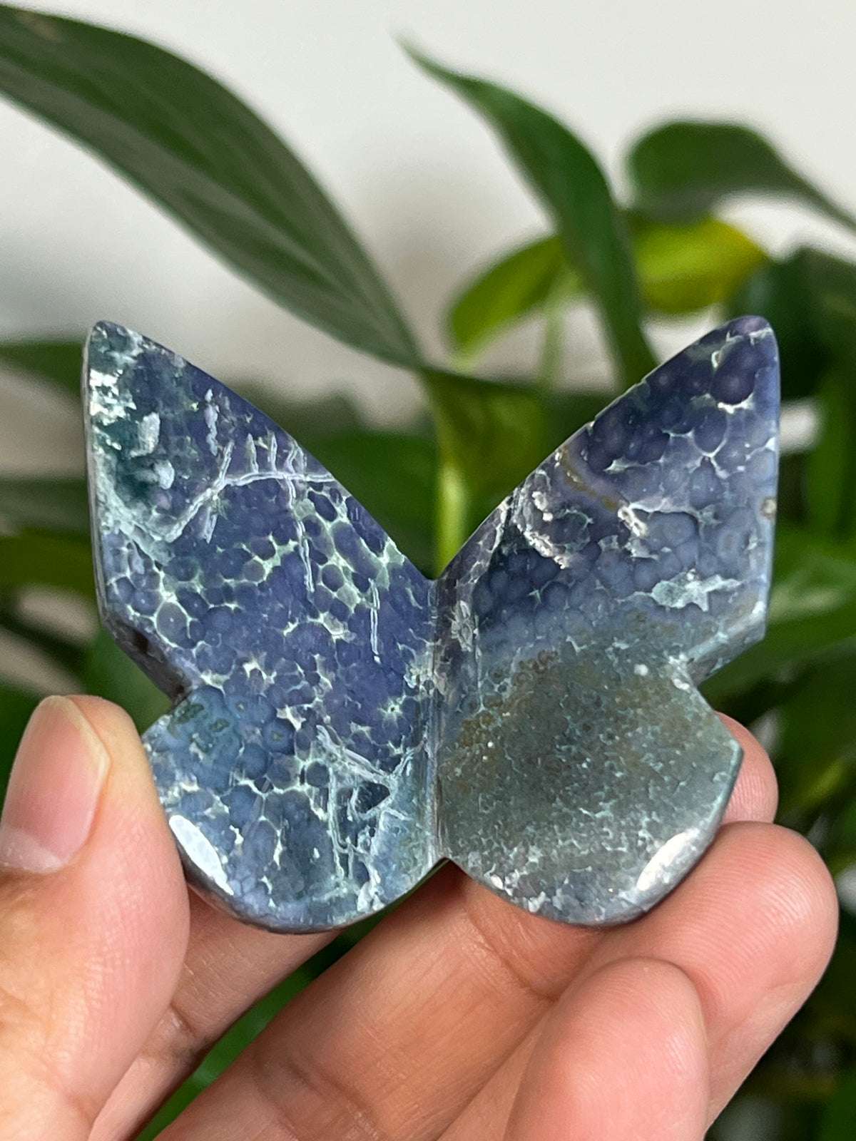 Grape Agate 3D Butterflies
