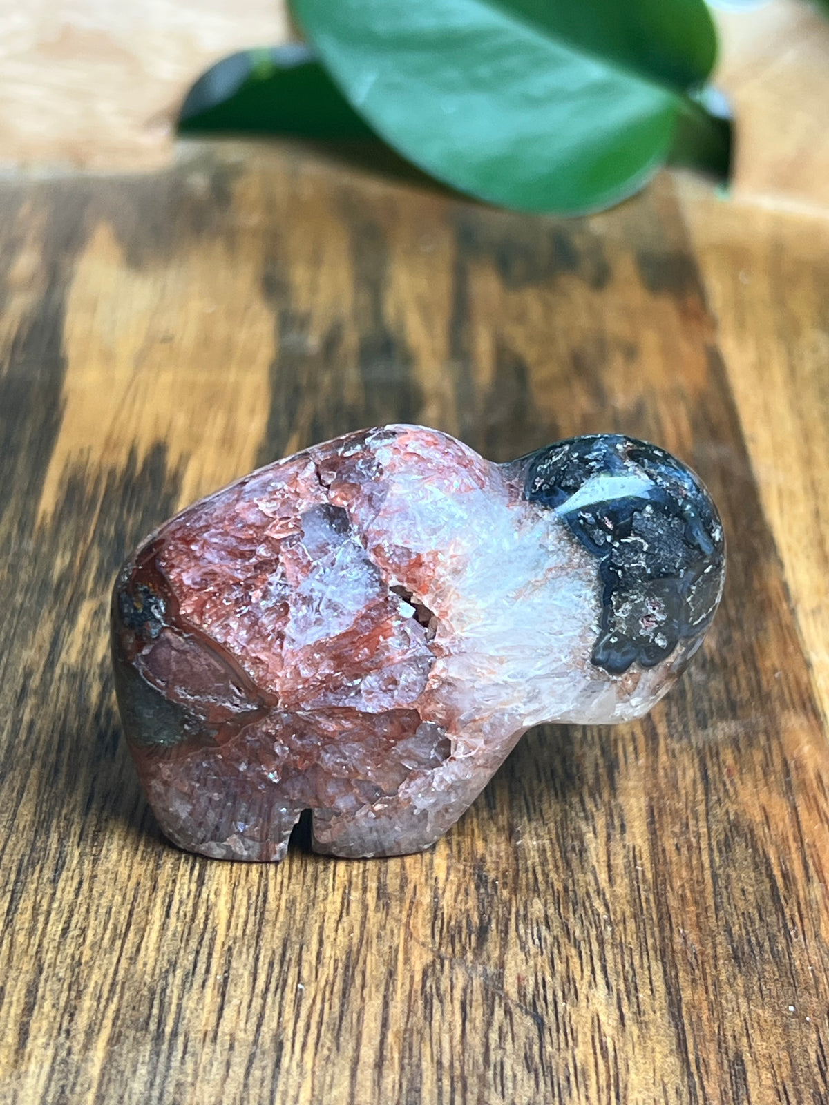 Marcasite Mini Buffalo: MG