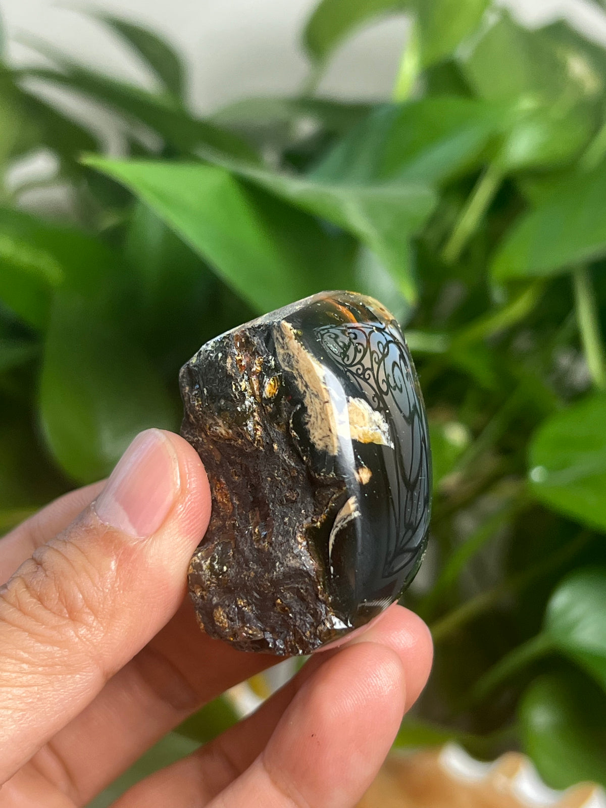 Blue Amber Freeform: BA