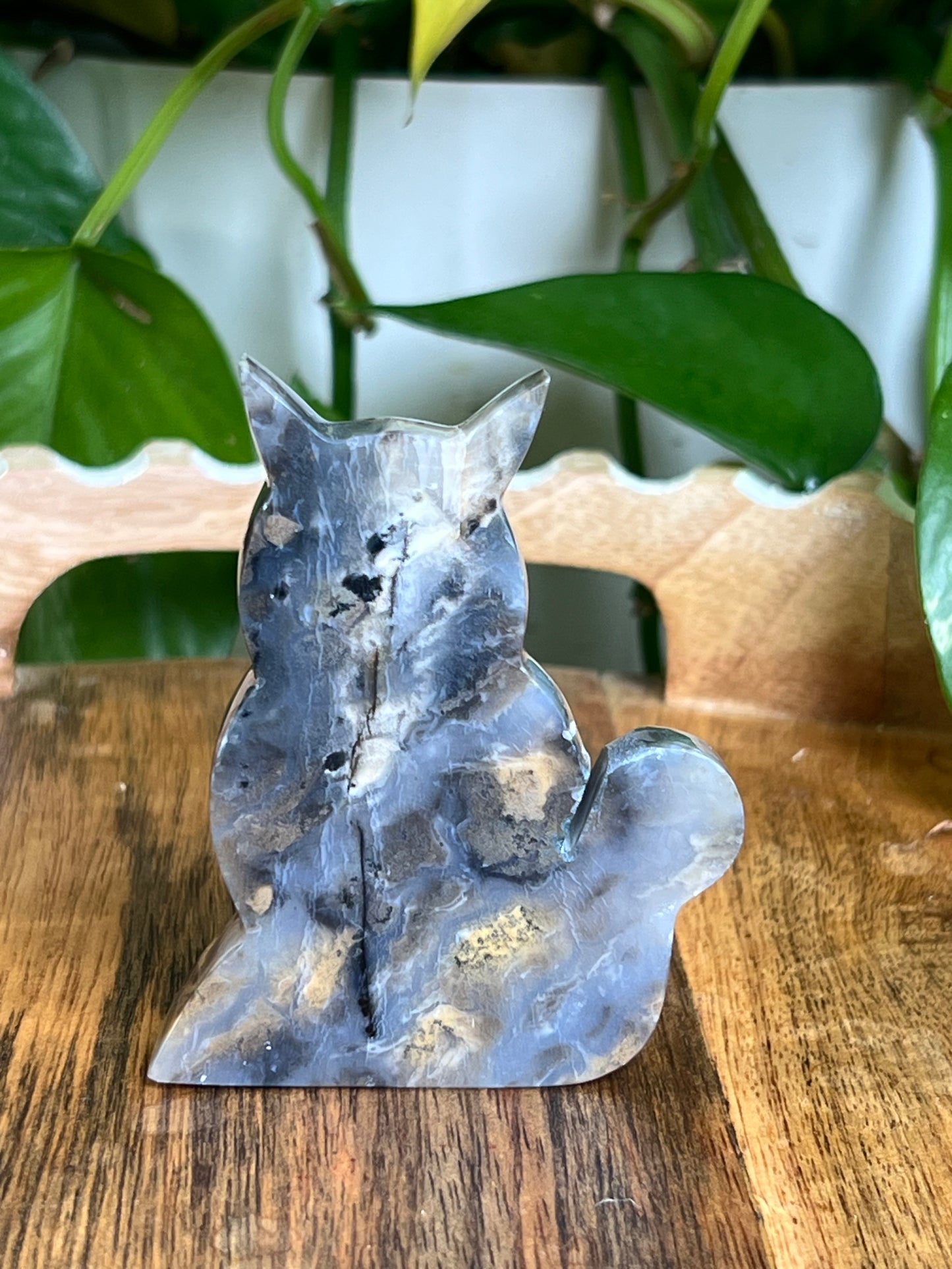Dendritic Tiger Agate Cat AB