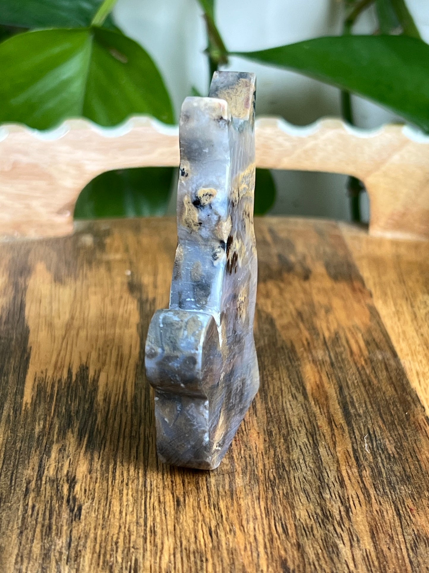 Dendritic Tiger Agate Cat AD