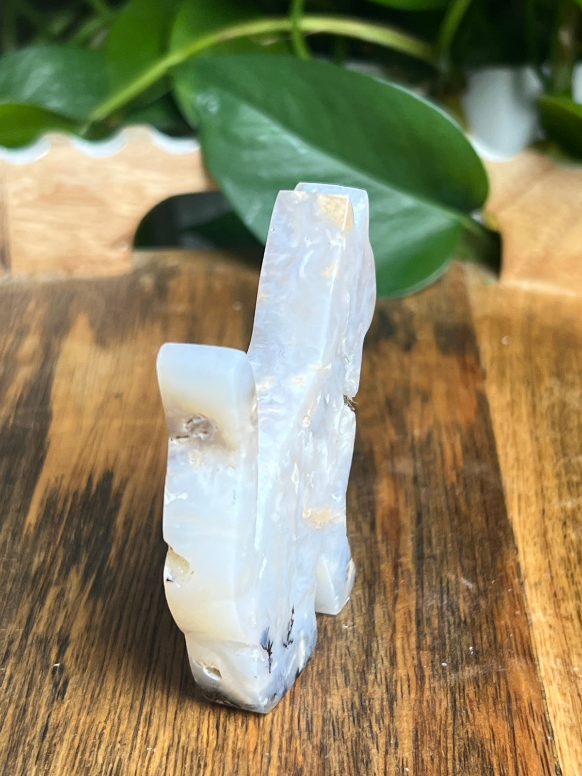 Dendritic Tiger Agate Cat: PA