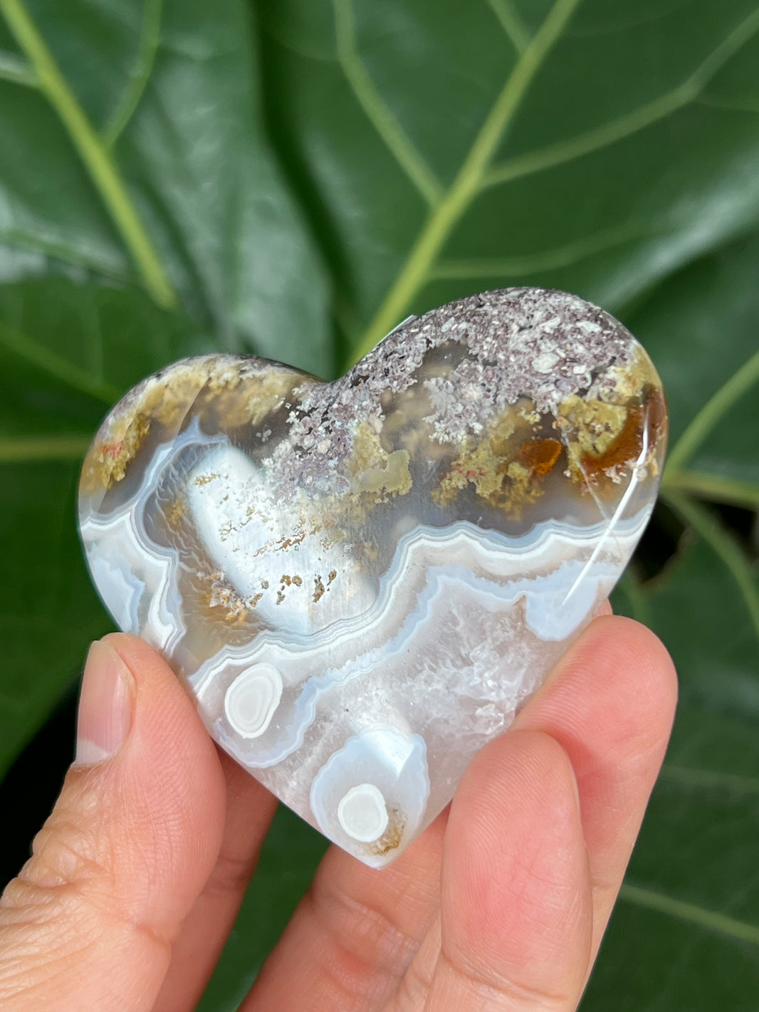 Products – Page 119 – oakandquartz