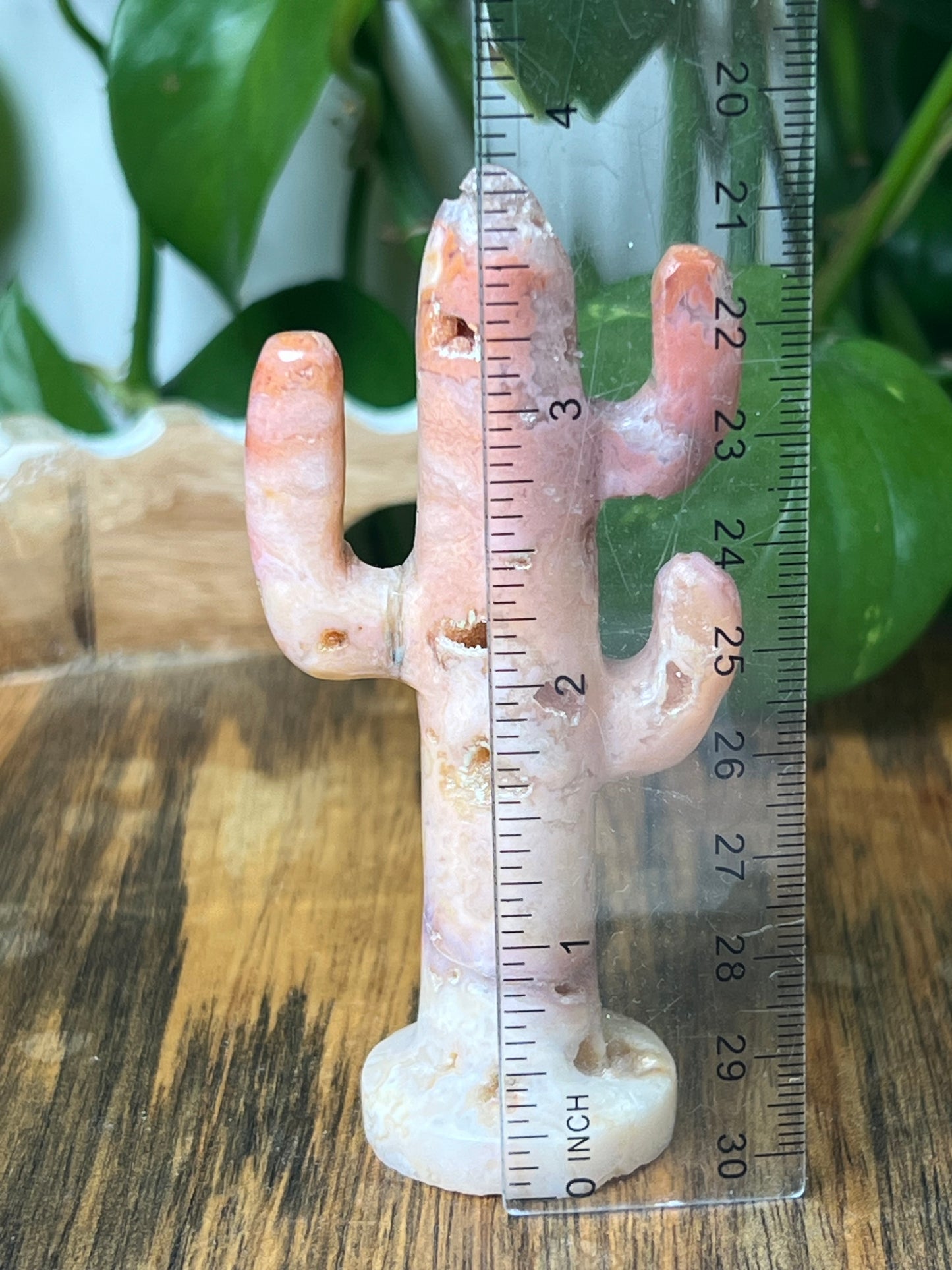 Pink Carnelian Cactus