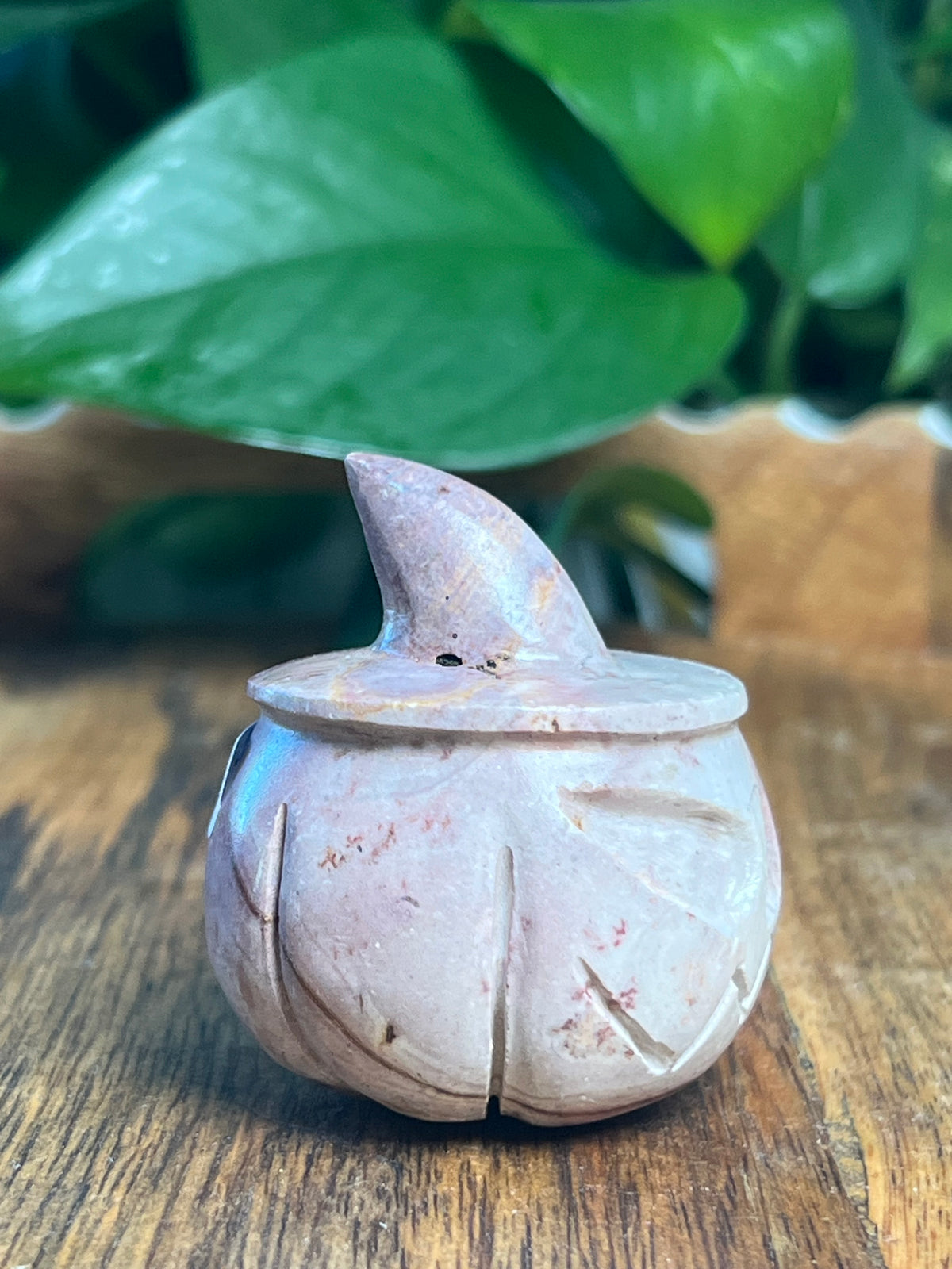 Pink Polycrome Pumpkin: K