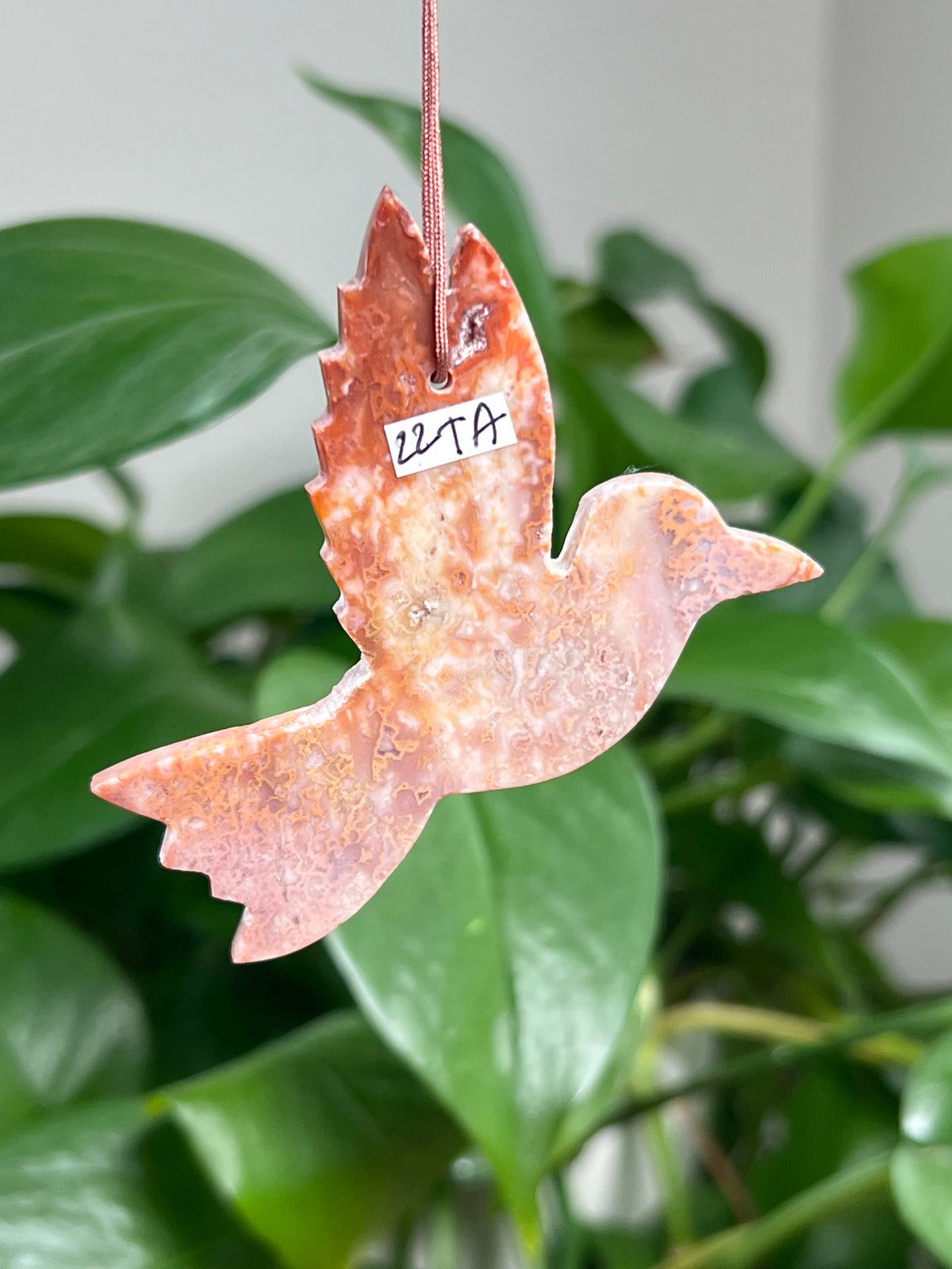 Carnelian Ornament Hummingbird: TA