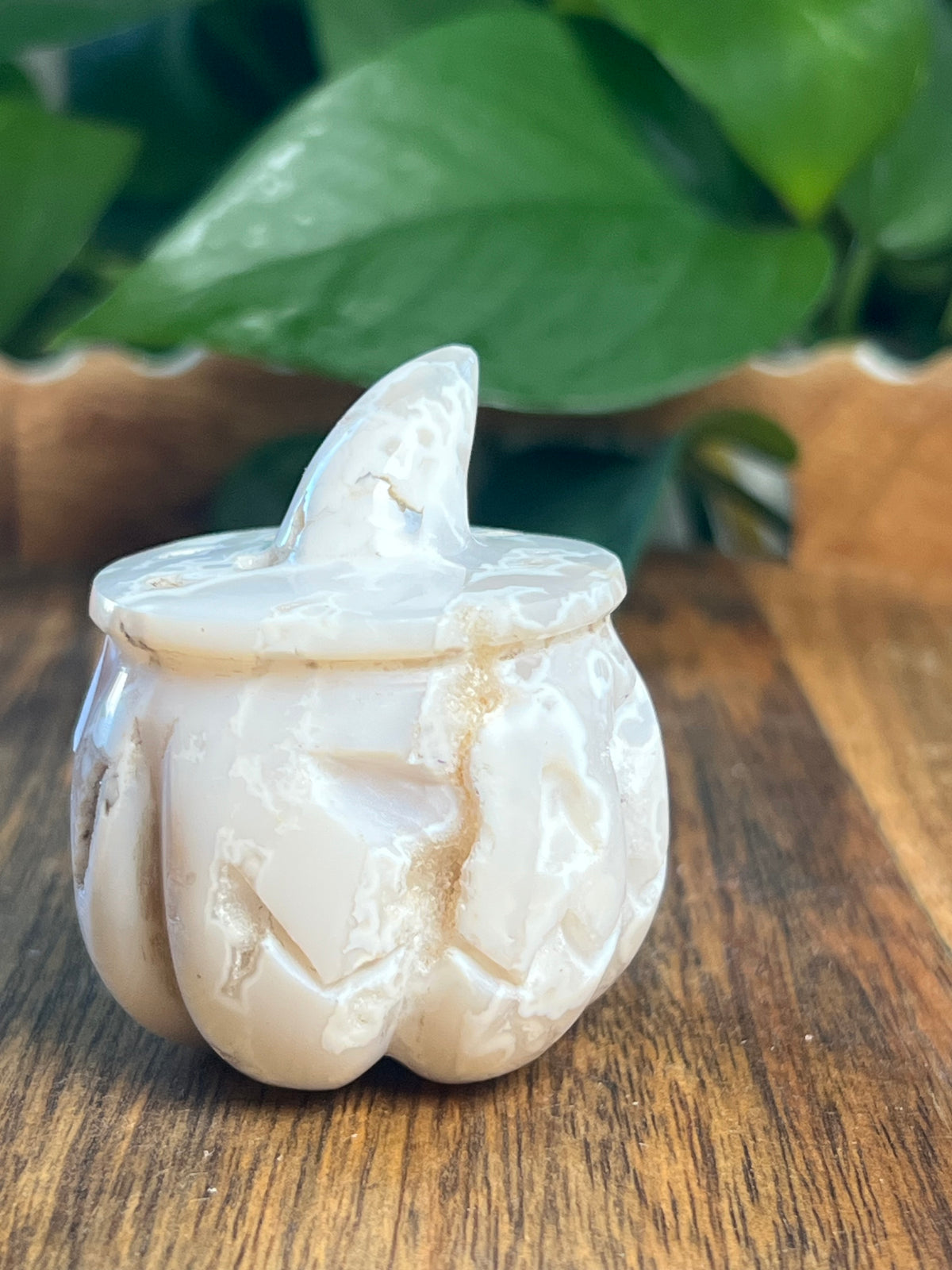White Plume Agate Pumpkin: E