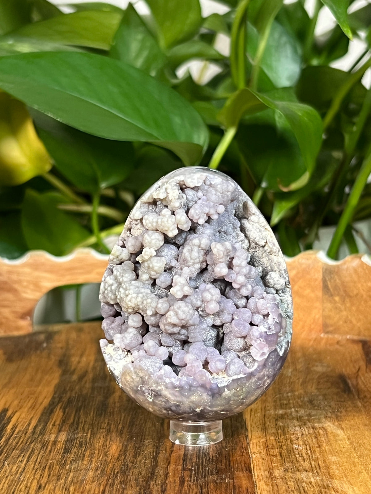 Grape Agate Egg: NA