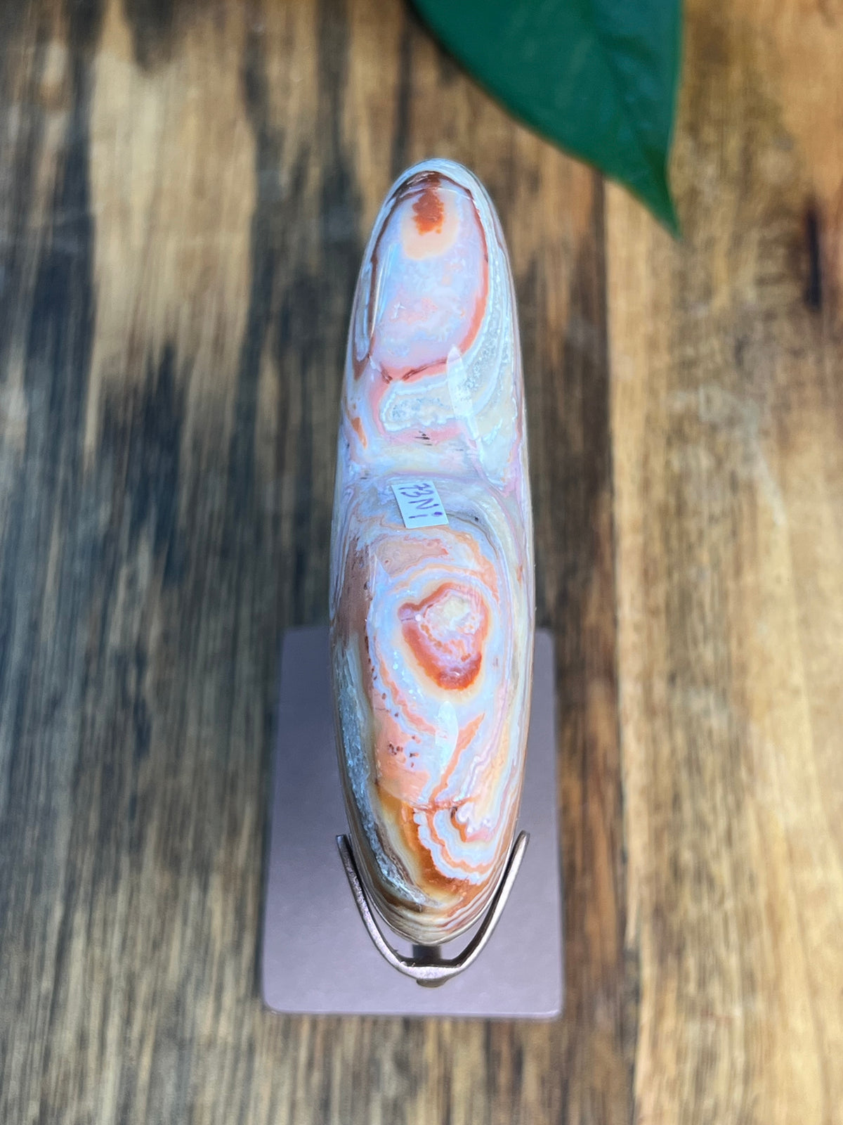 Crazy Lace Agate Heart: Ni